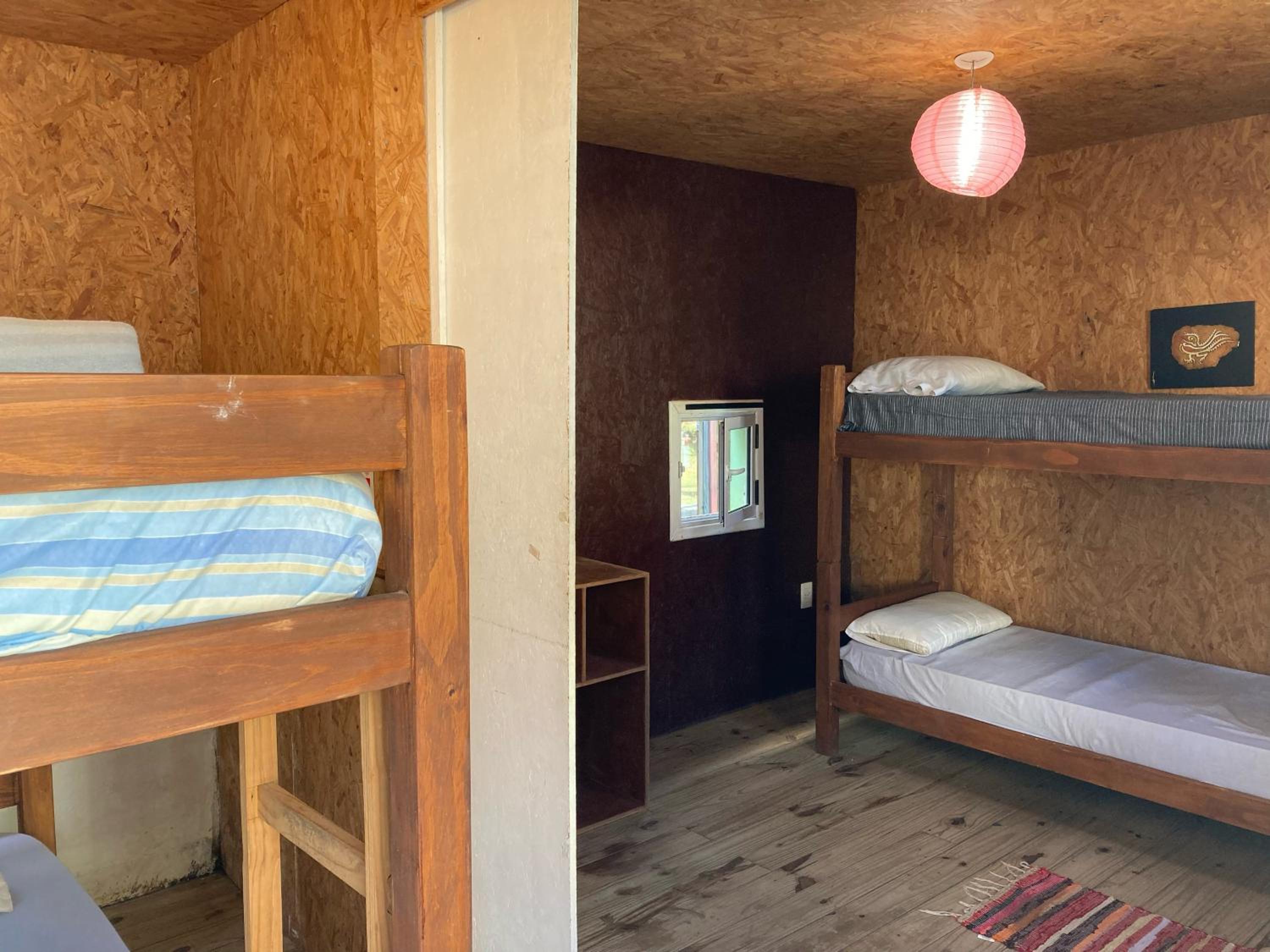 Bed in 4-Bed Dormitory Room photo 1