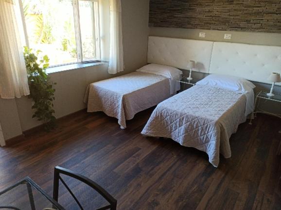 Twin Room photo 3