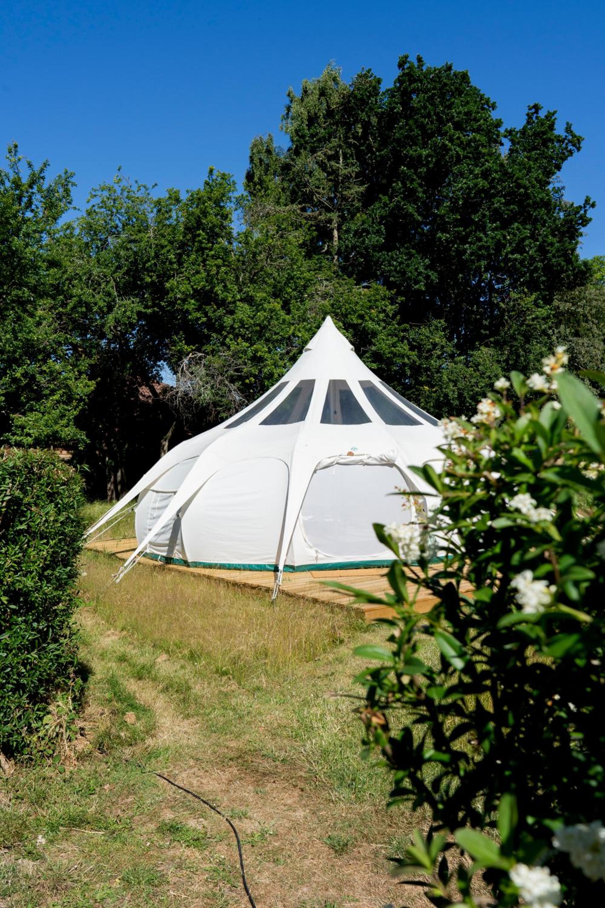 Tent