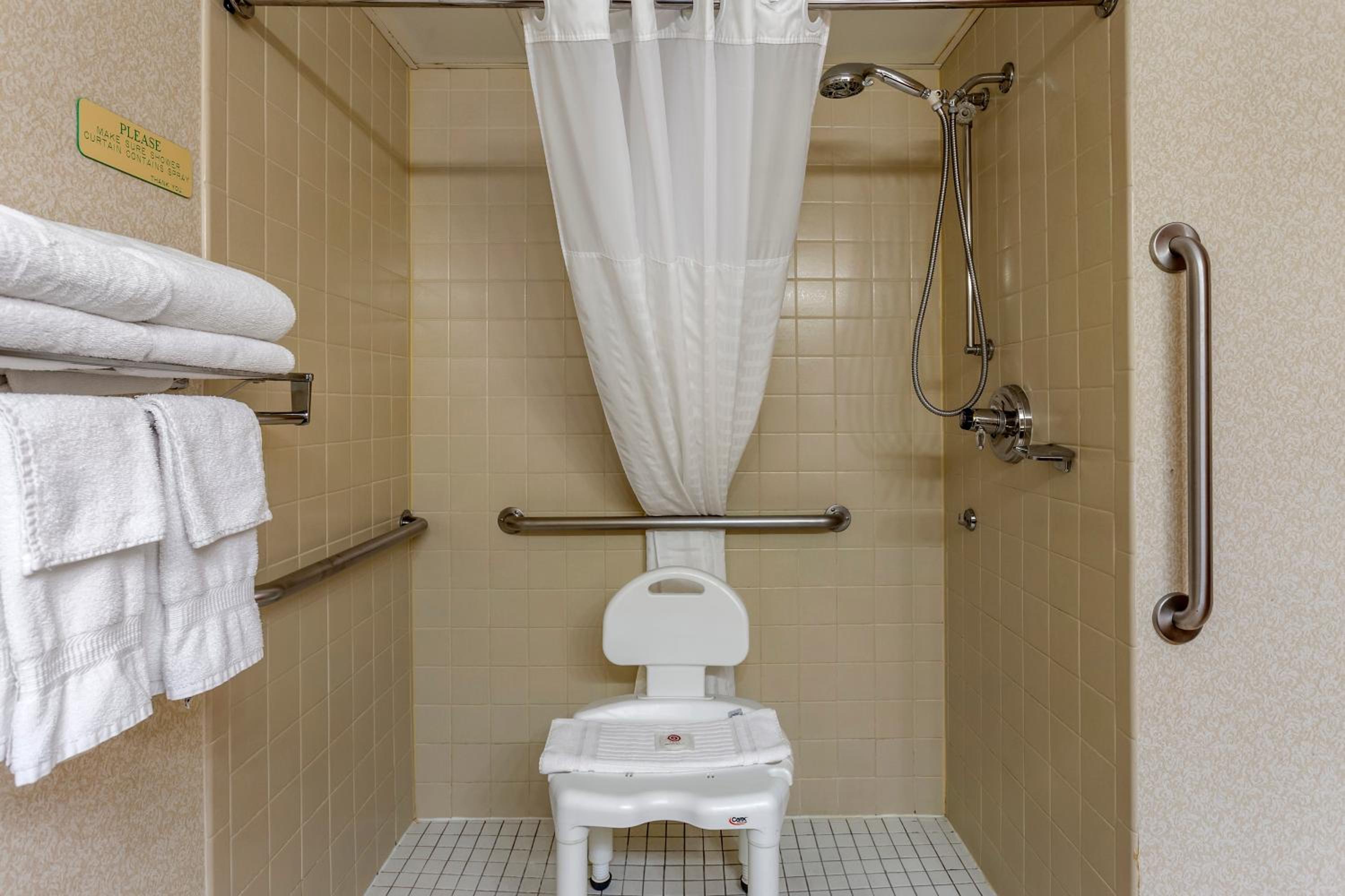 King Room with Roll-In Shower - Accessible/Non-Smoking - Photo 3