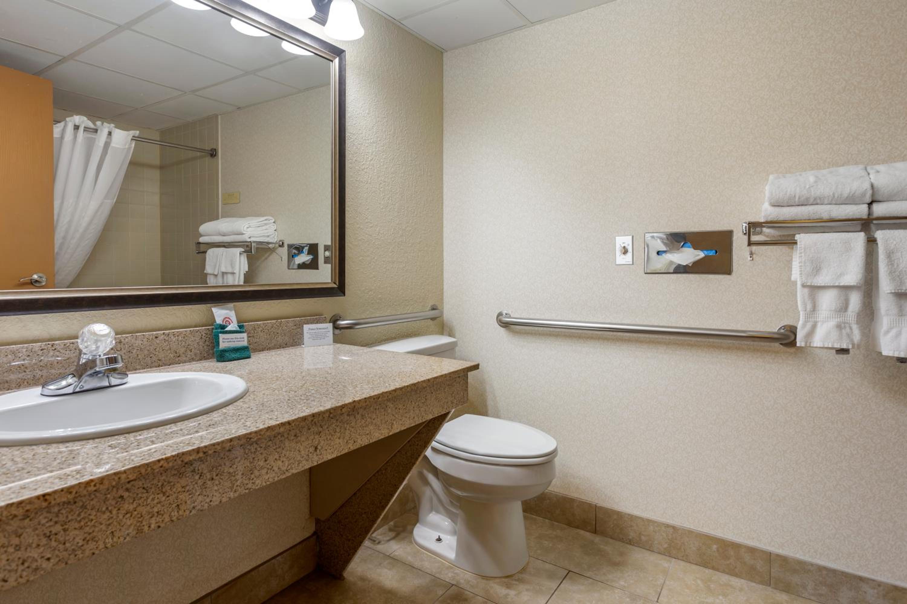 King Room with Roll-In Shower - Accessible/Non-Smoking - Photo 5
