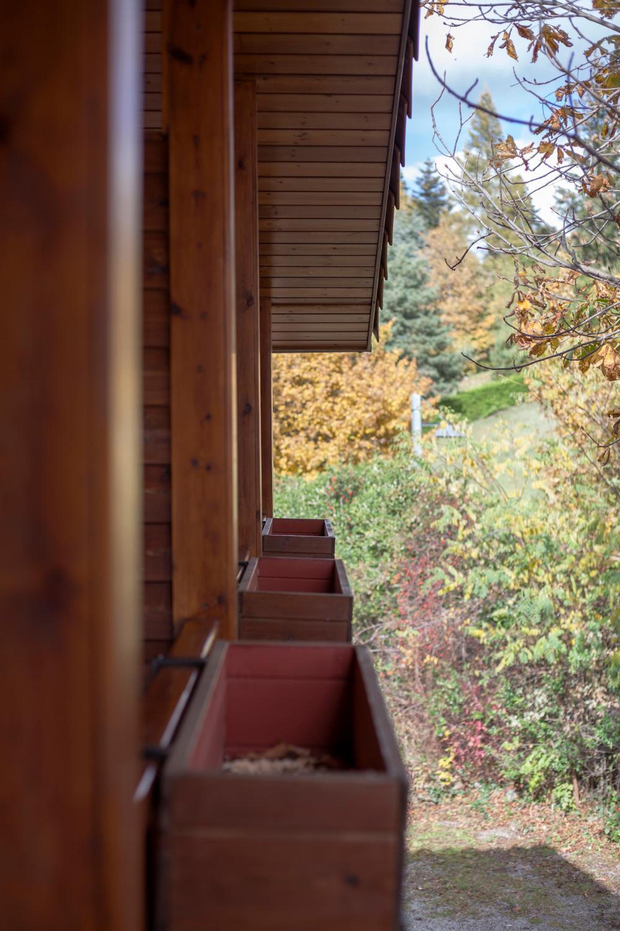 Superior Chalet - Photo 4