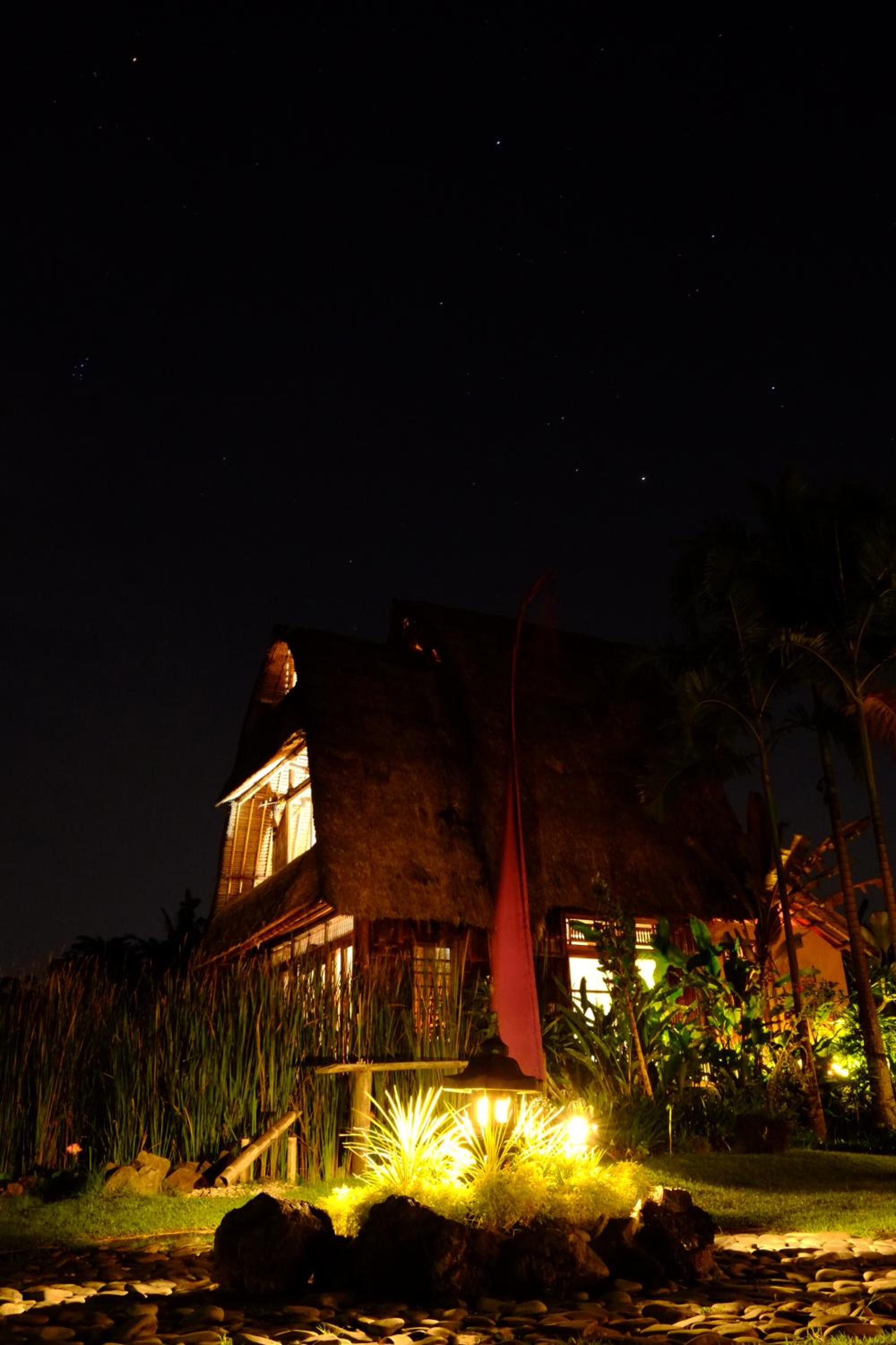 Deluxe Bungalow - Photo 12