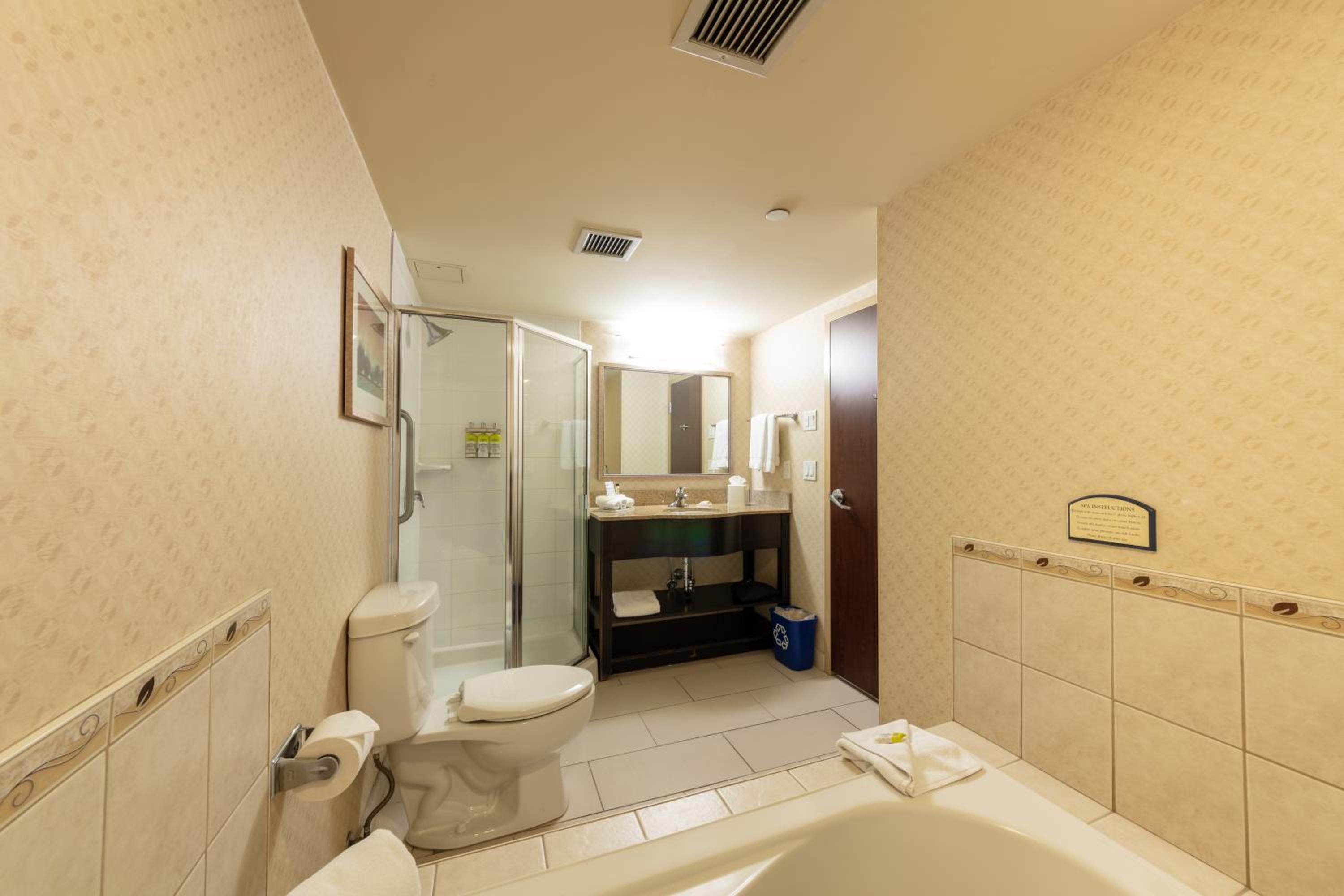 King Suite with Spa Bath - Photo 10