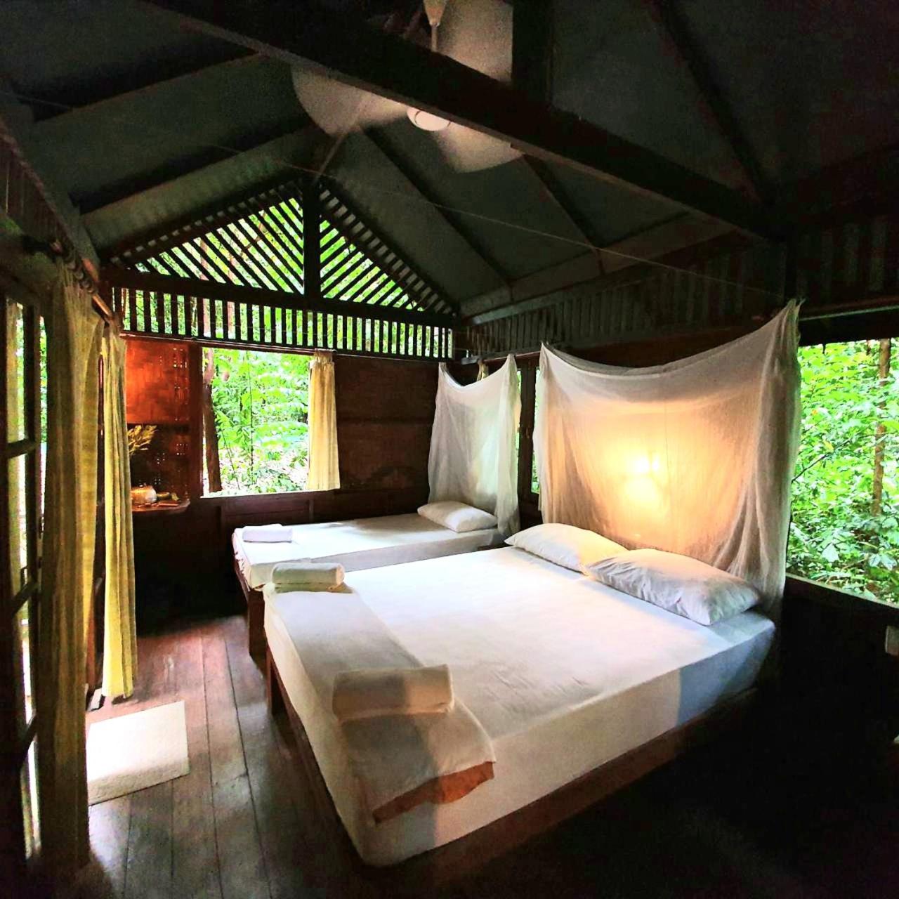 Treehouse Triple photo 1