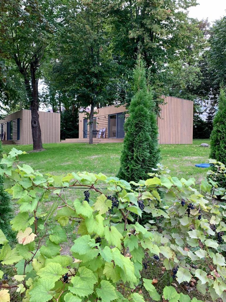 Two-Bedroom House photo 3