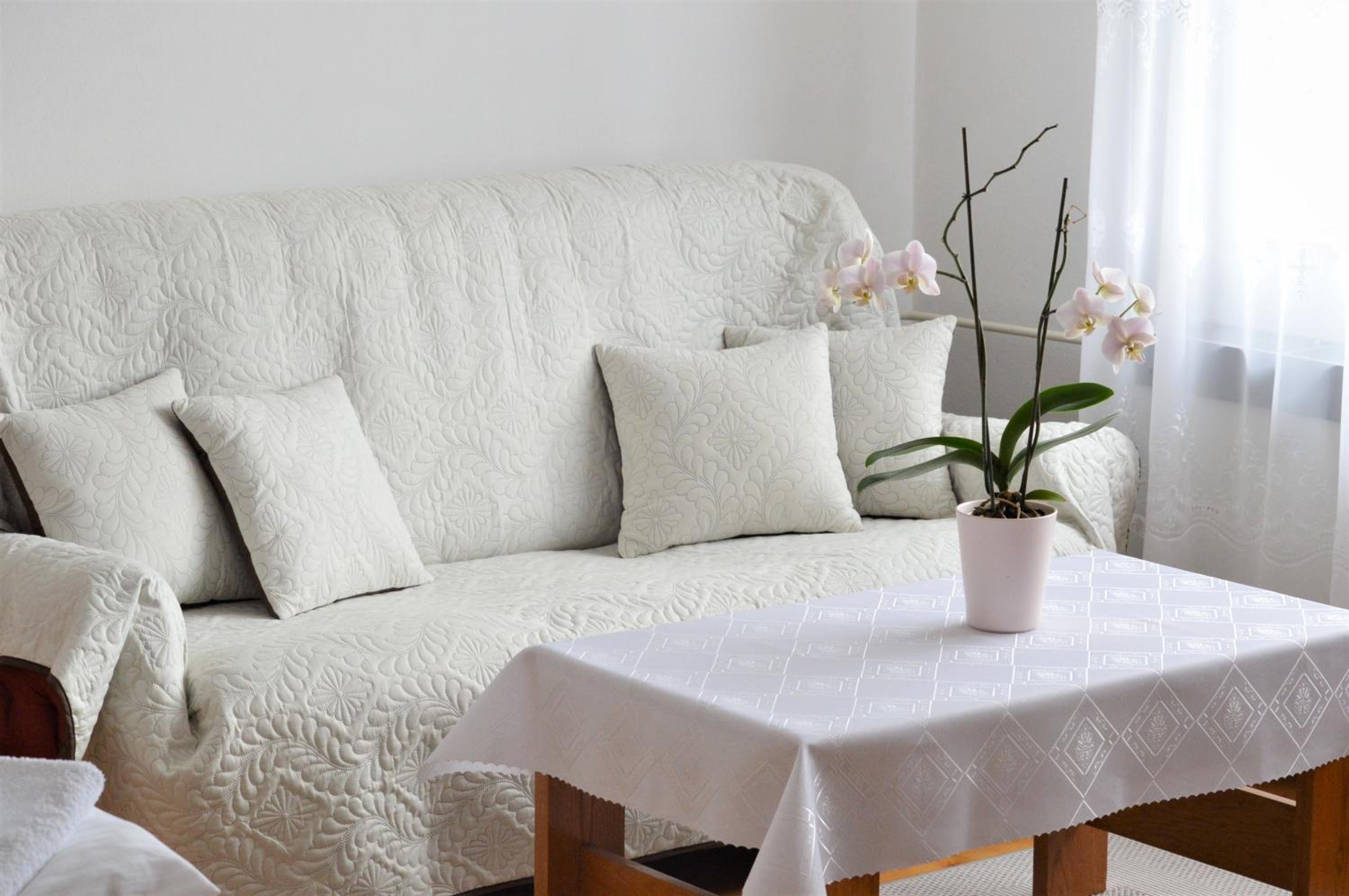 Apartment with Terrace - Photo 7