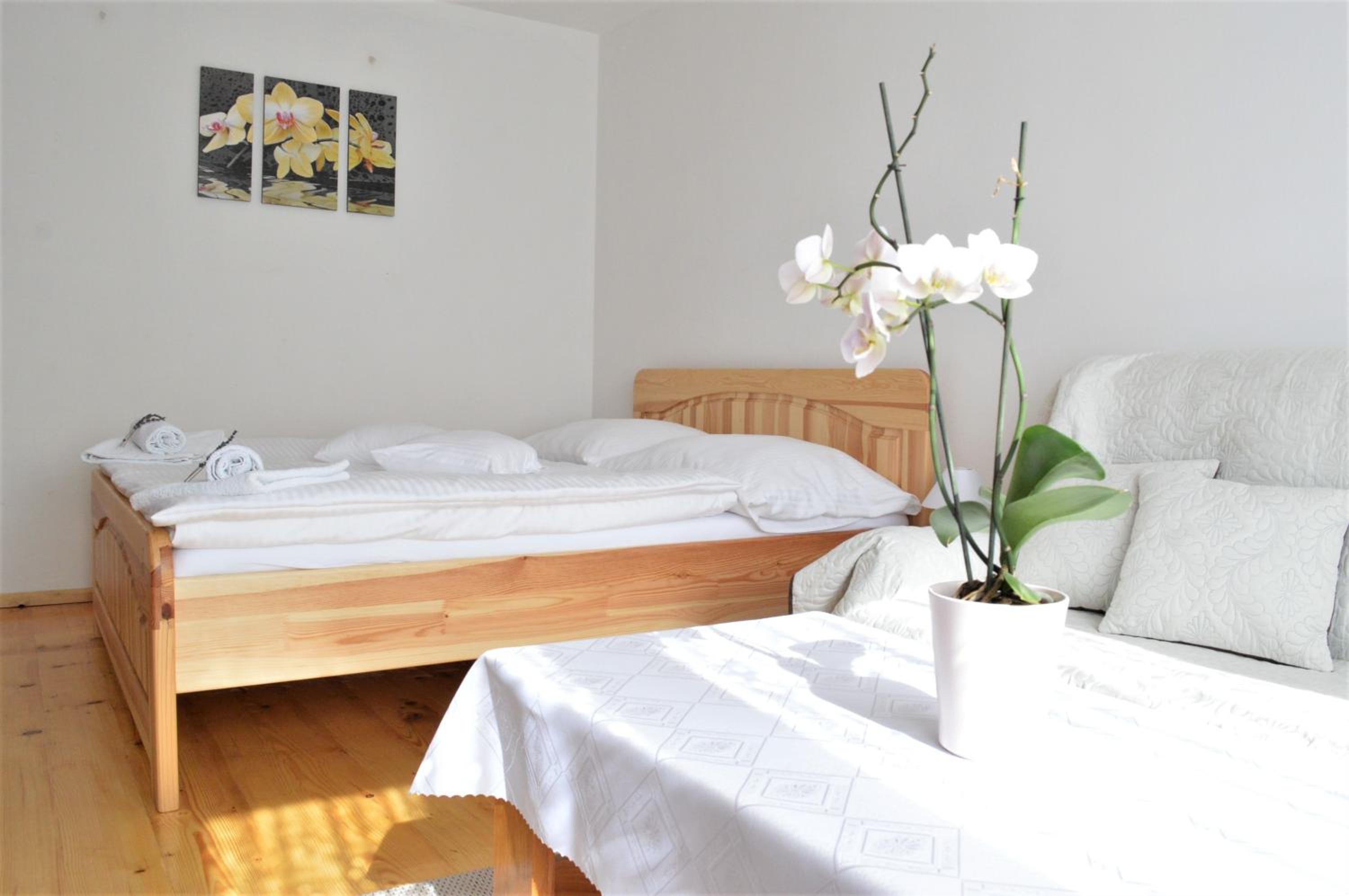 Apartment with Terrace - Photo 8