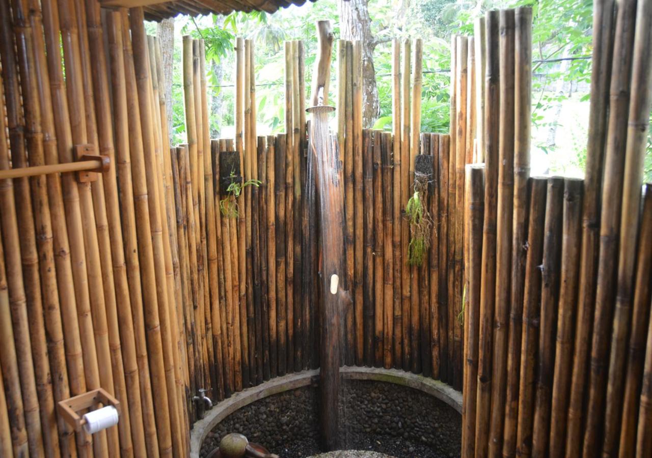 Deluxe Bungalow with Garden View photo 2