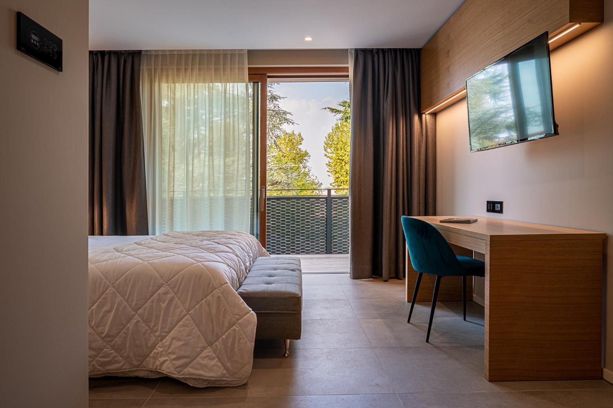 Deluxe Double or Twin Room photo 1