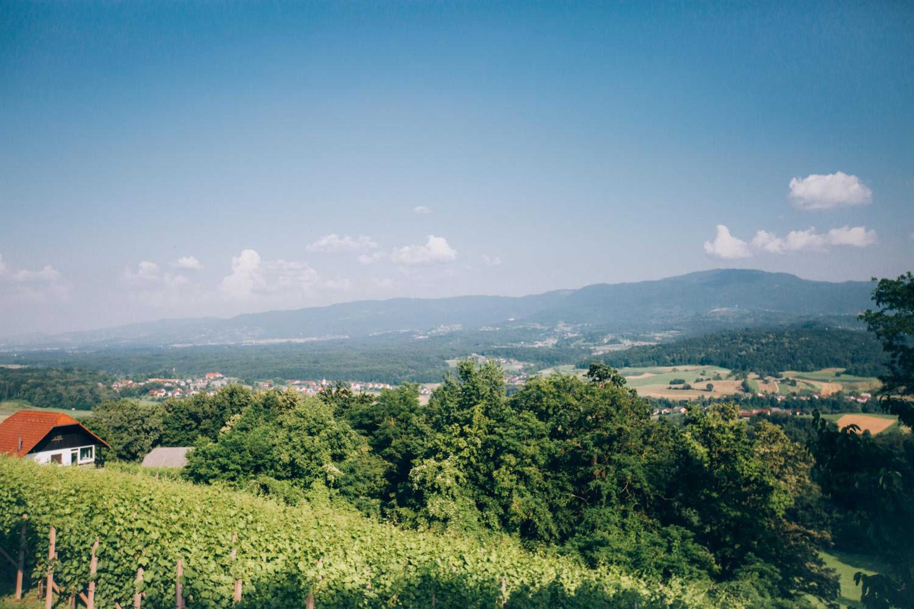 Vacation Home - Photo 4