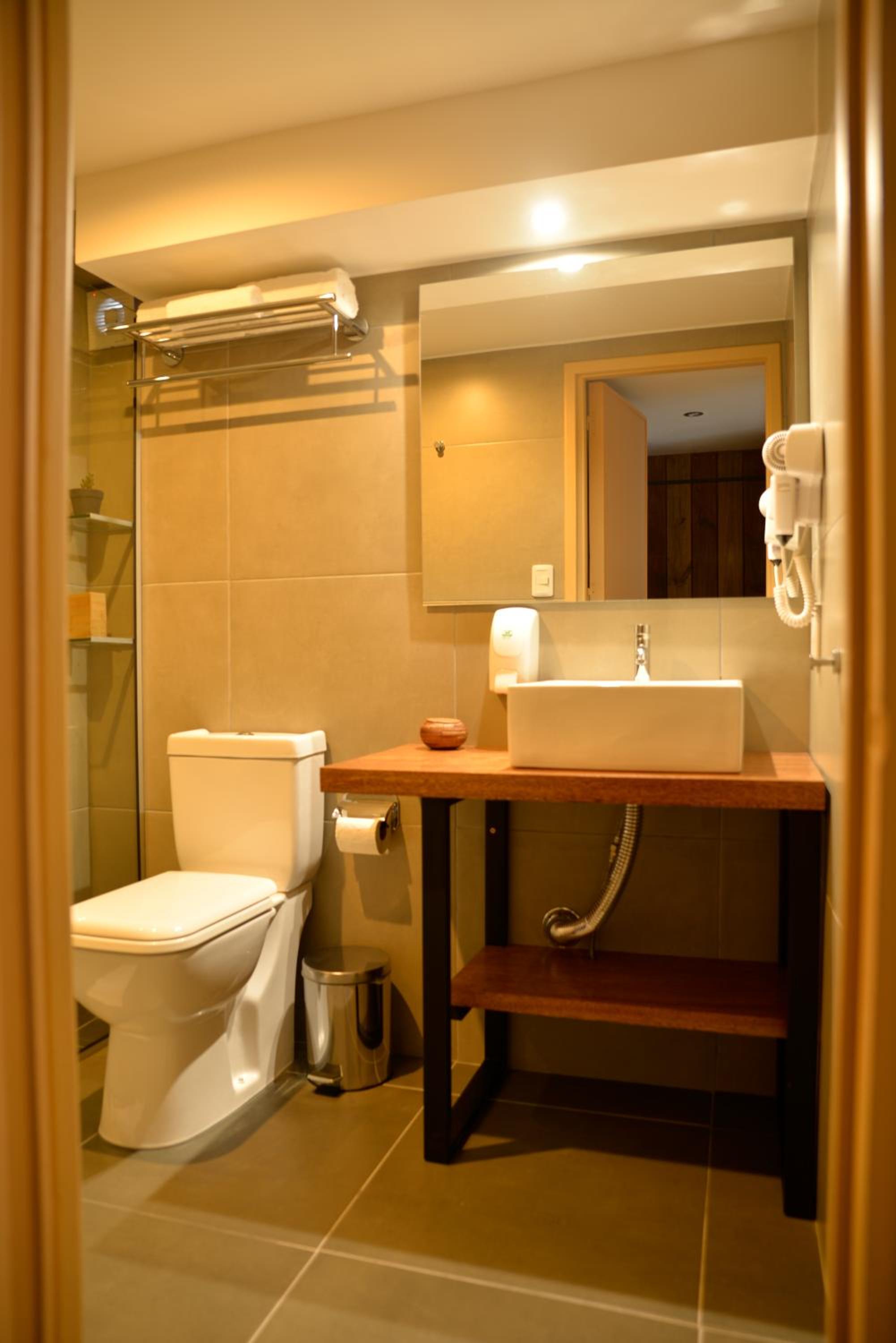 Premium Suite photo 3