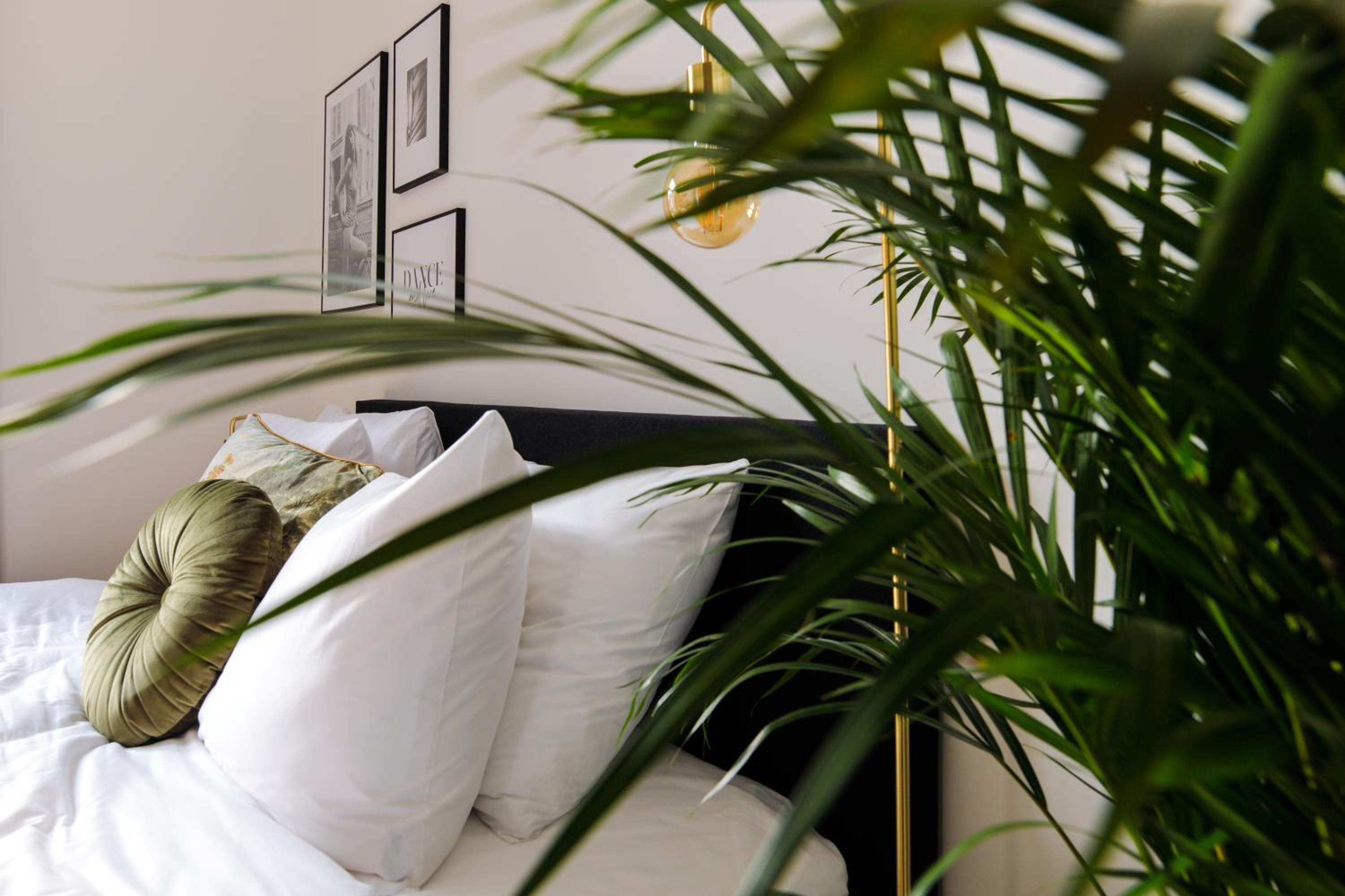 Deluxe King Room - Photo 26