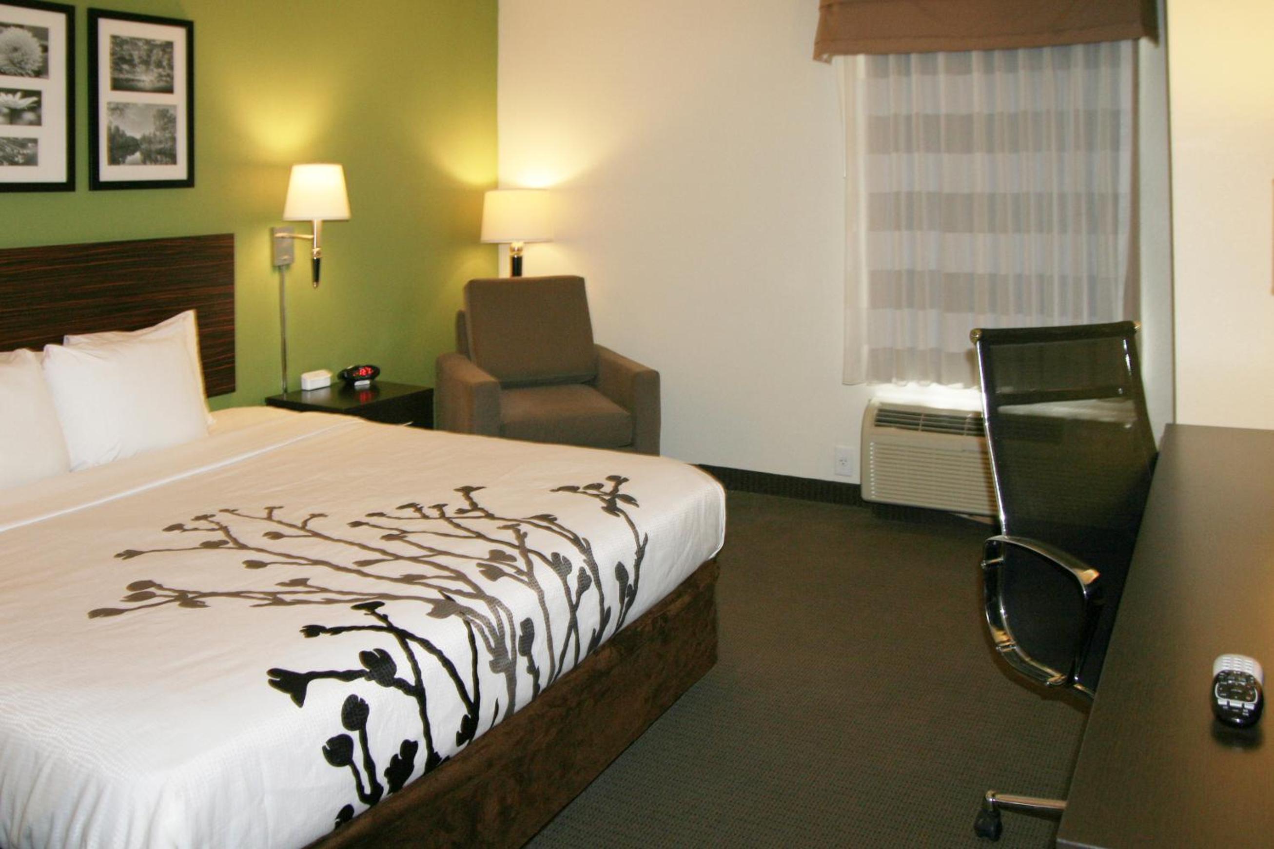King Room - Non-Smoking - Photo 2