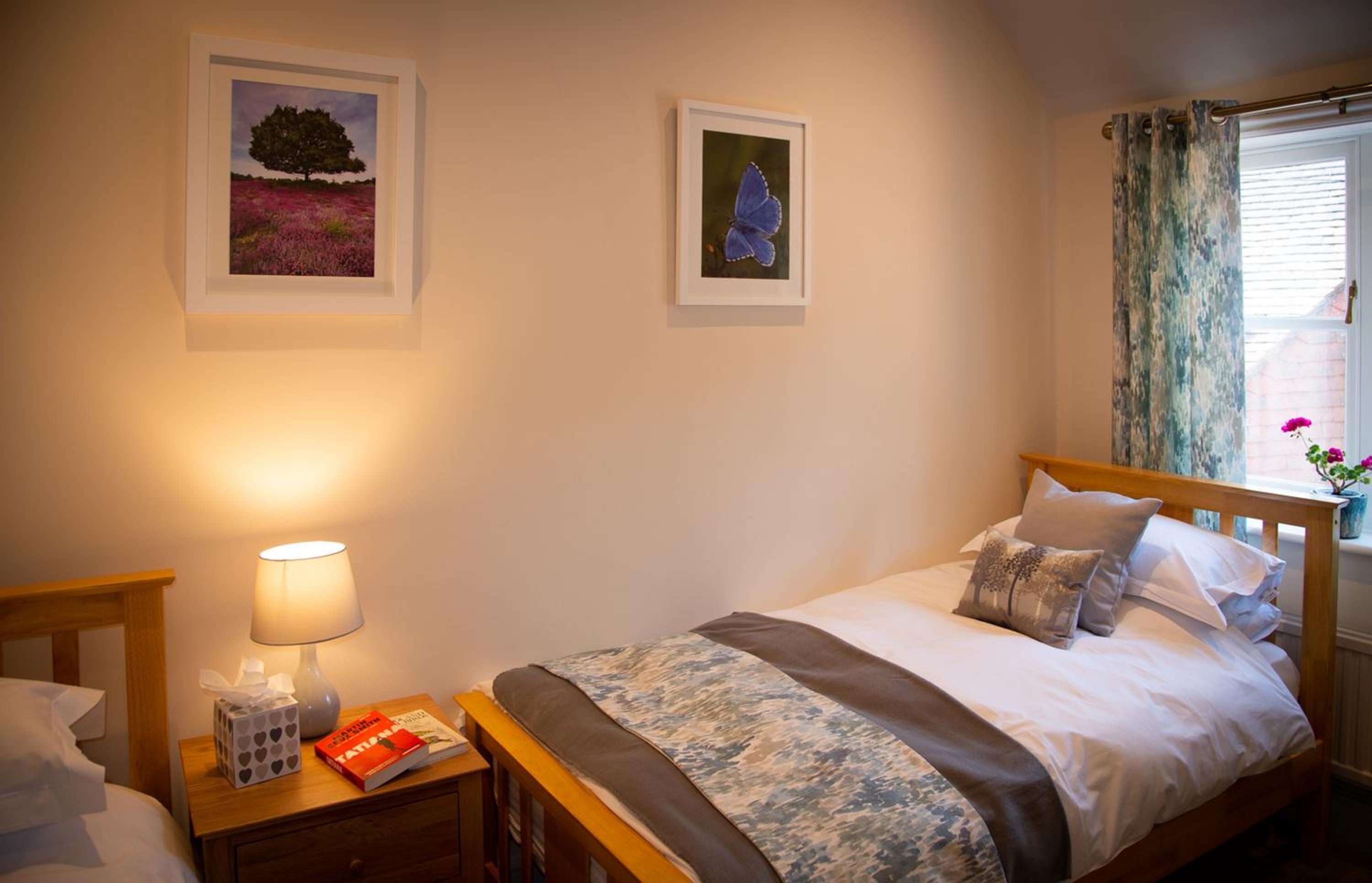 Standard Twin Room photo 2