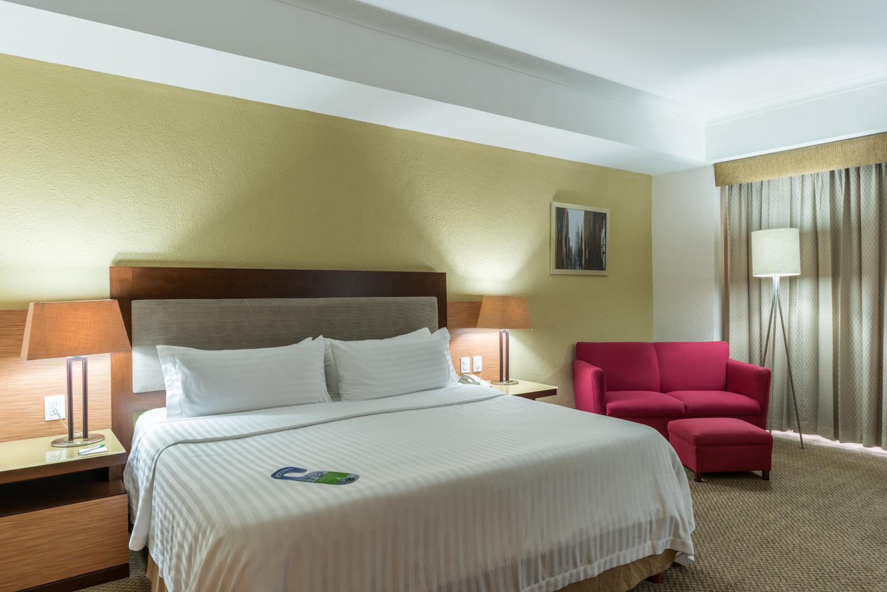 Premium King Room with Bath and Shower Combination - Photo 1