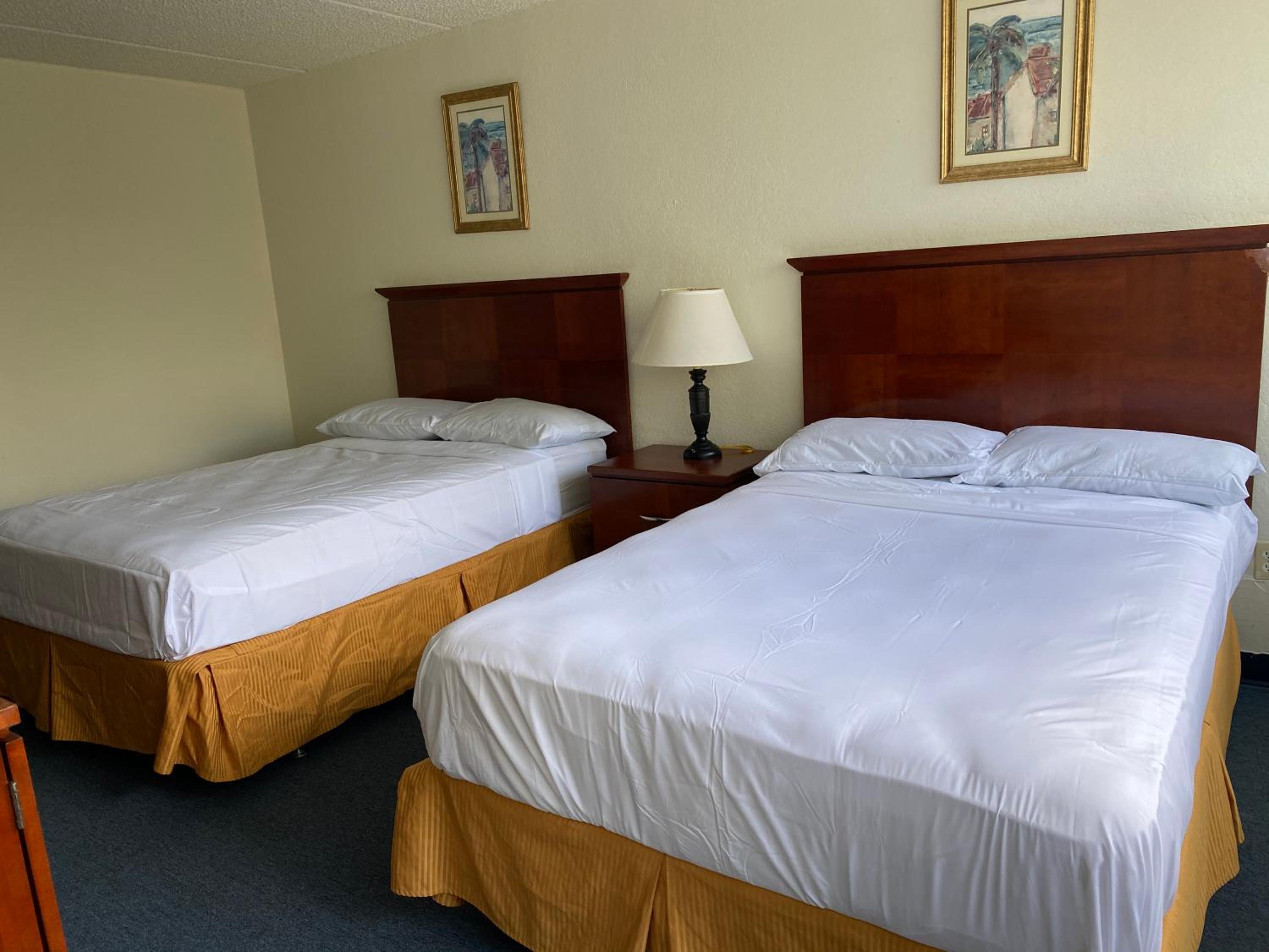 Standard Two Double Beds - Photo 3