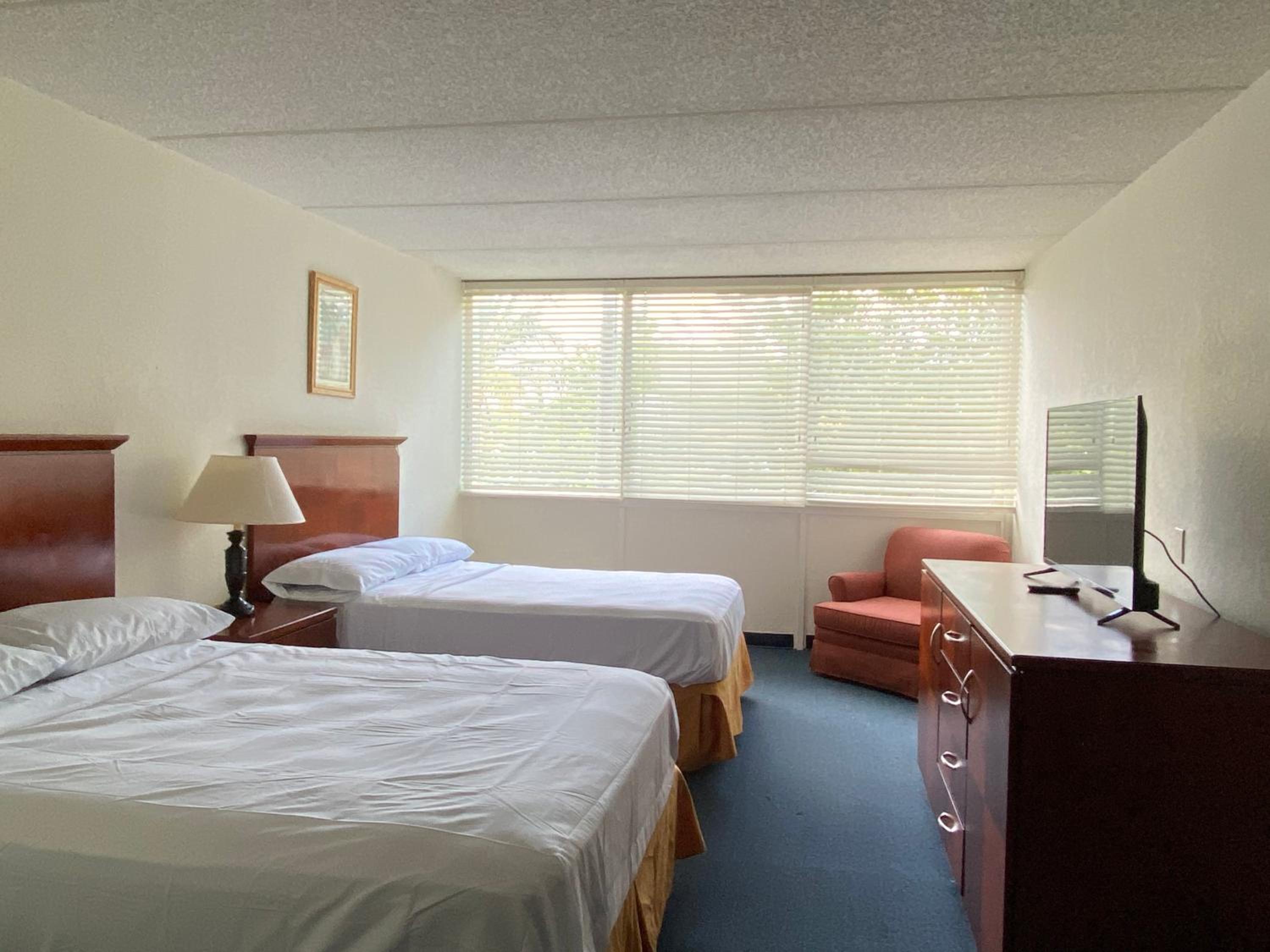 Standard Two Double Beds - Photo 2