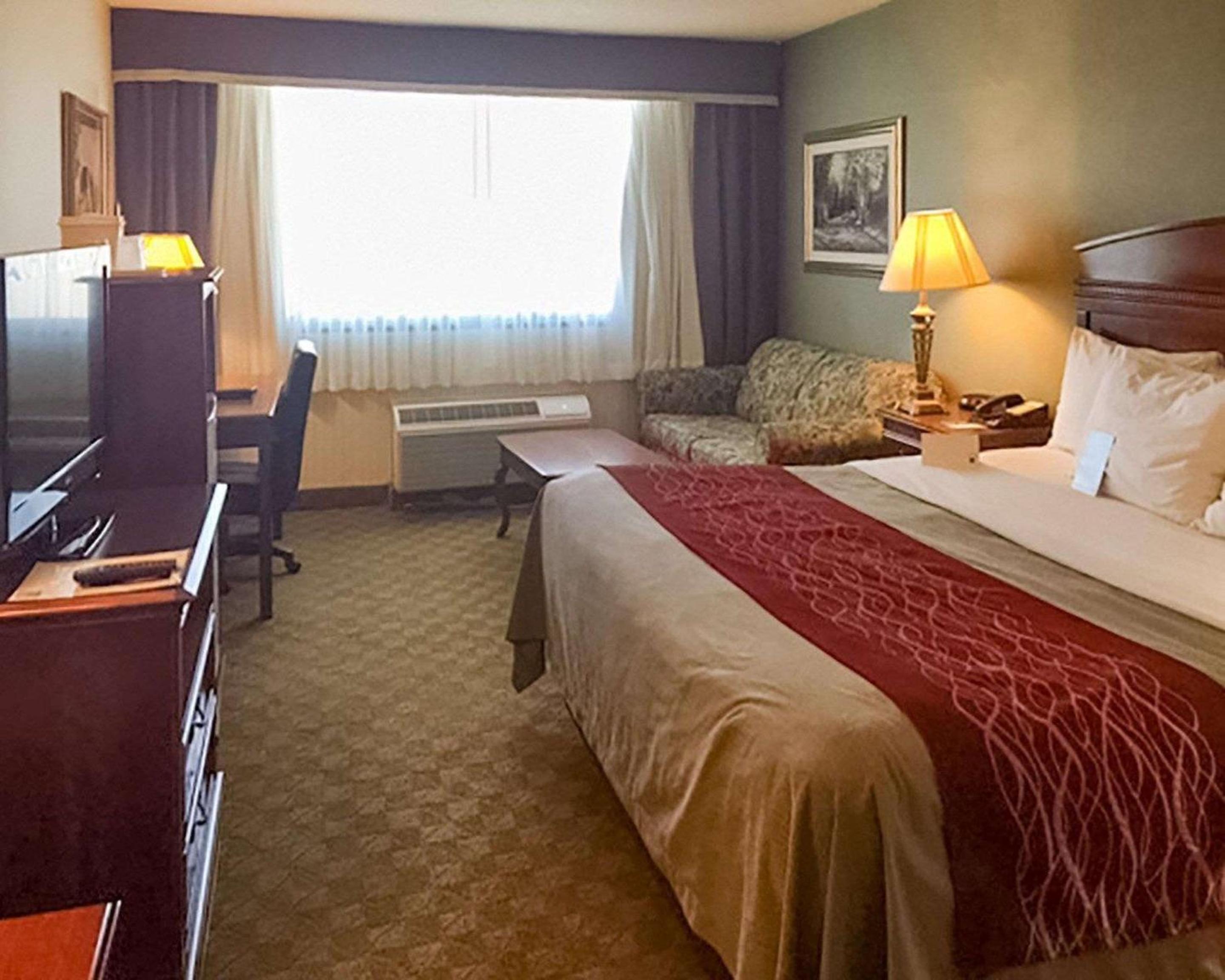 King Room - Non-Smoking - Photo 5