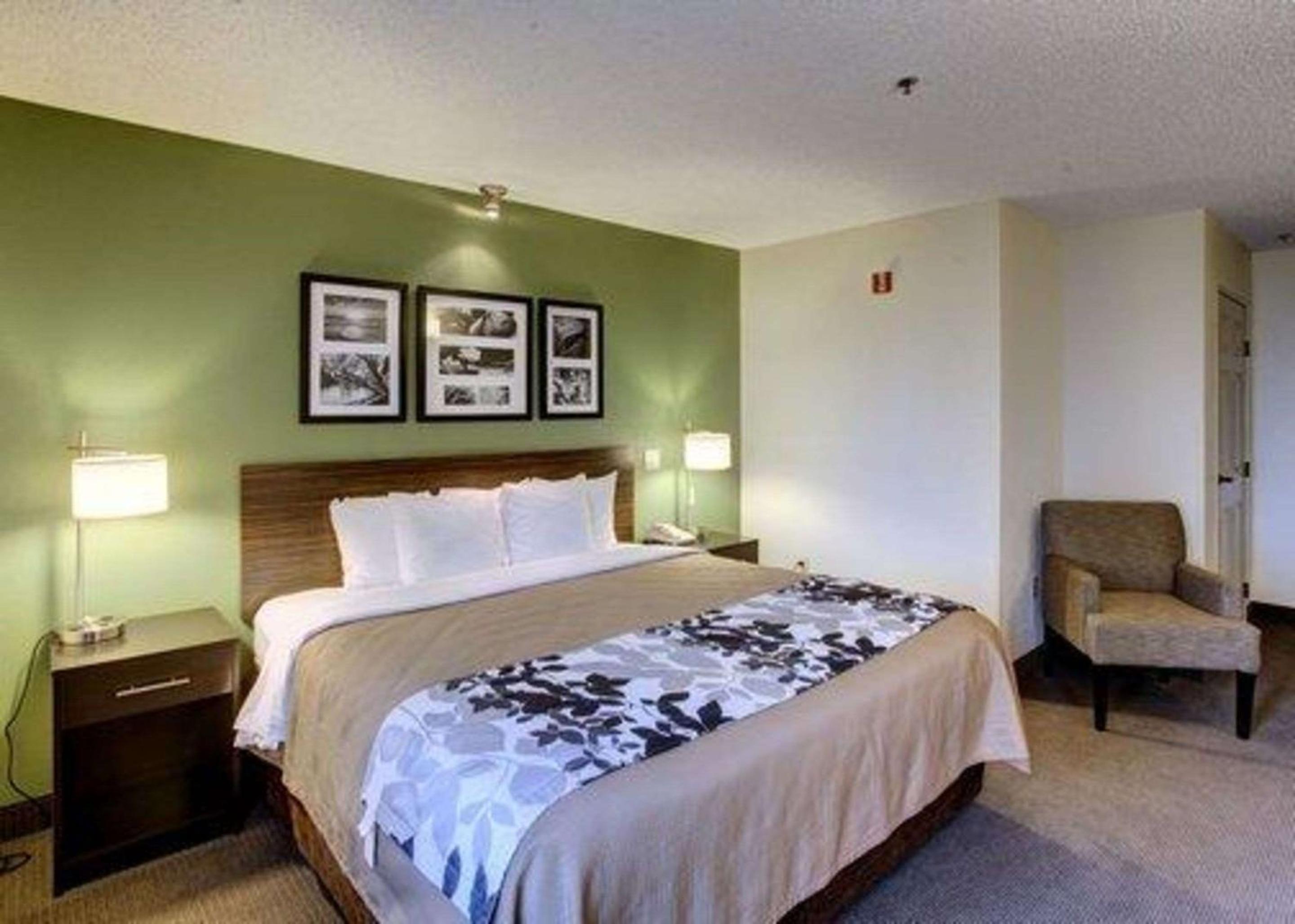 King Room - Non-Smoking - Photo 8