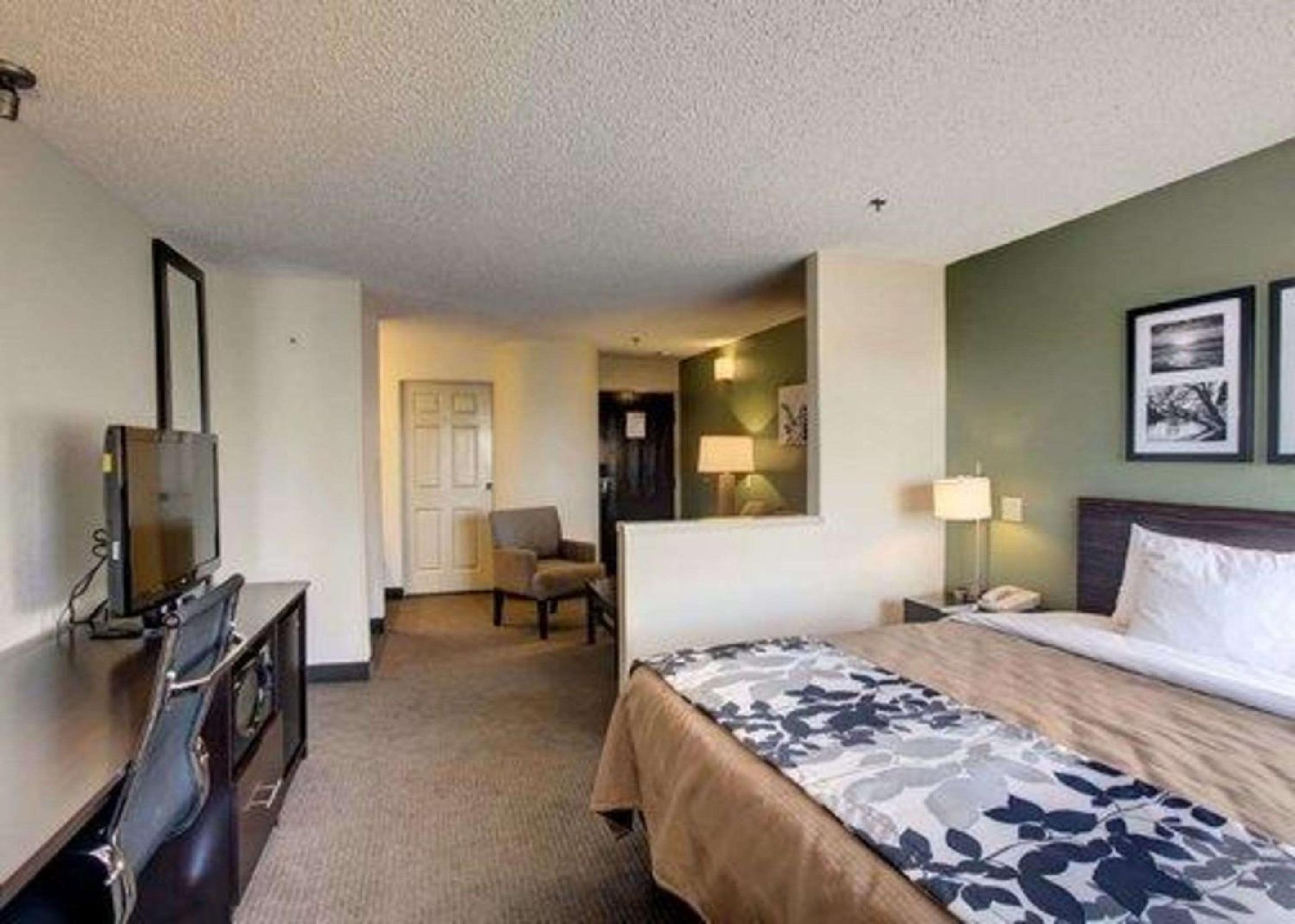 King Suite with Sofa Bed - Non-Smoking - Photo 7