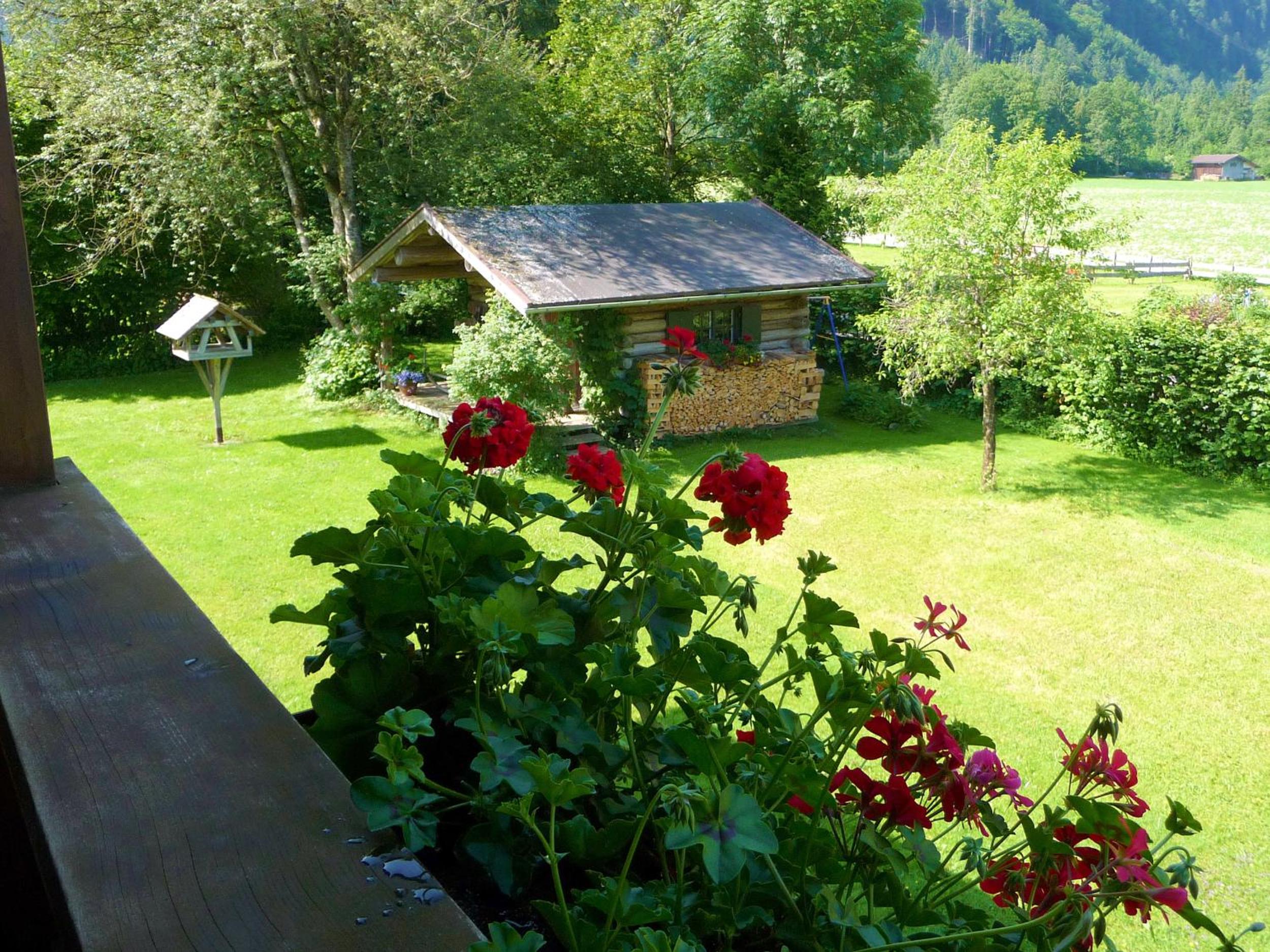 Apartment Bruni with Mountain View photo 3