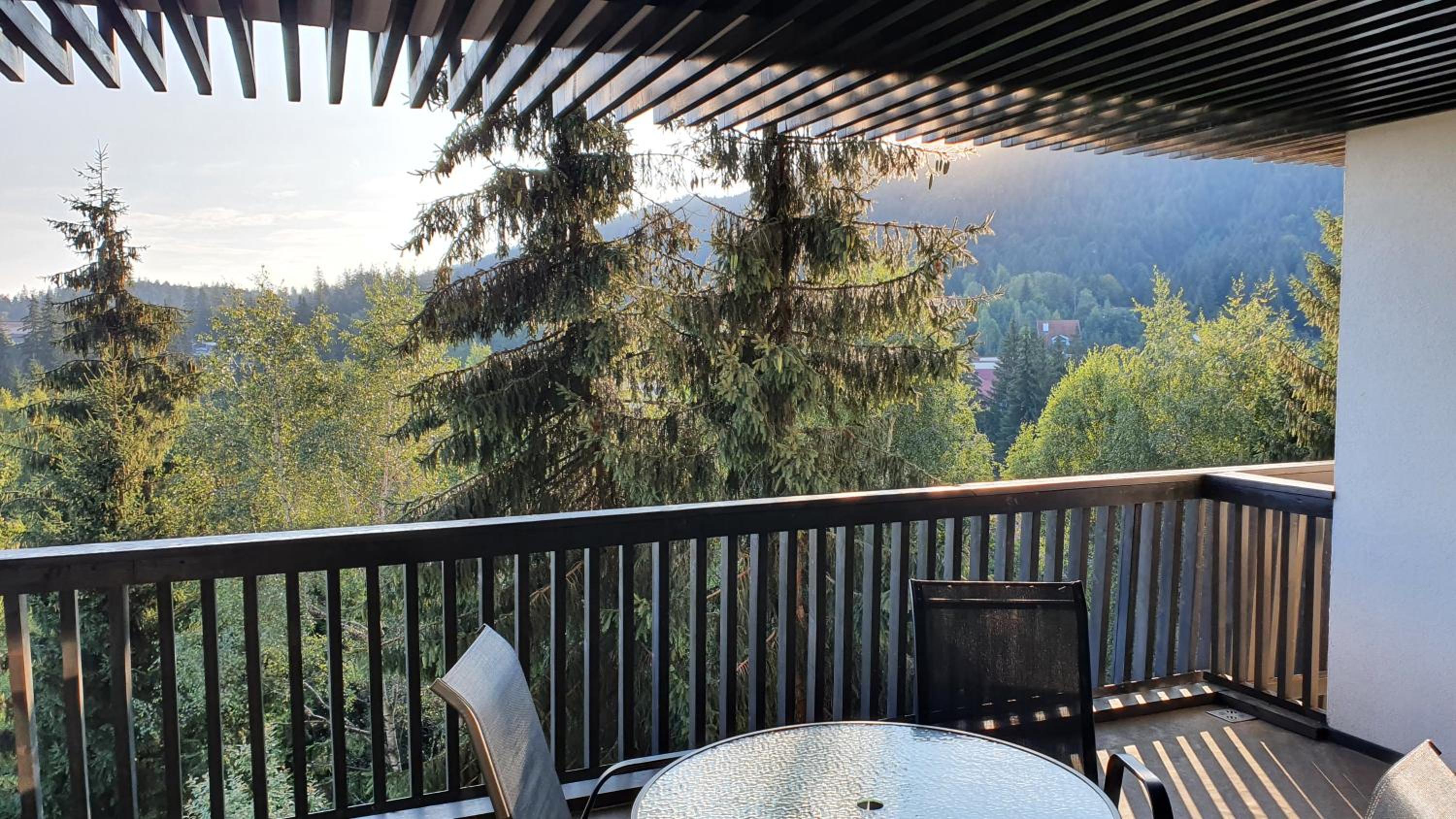 Apartment with Mountain View - Photo 23