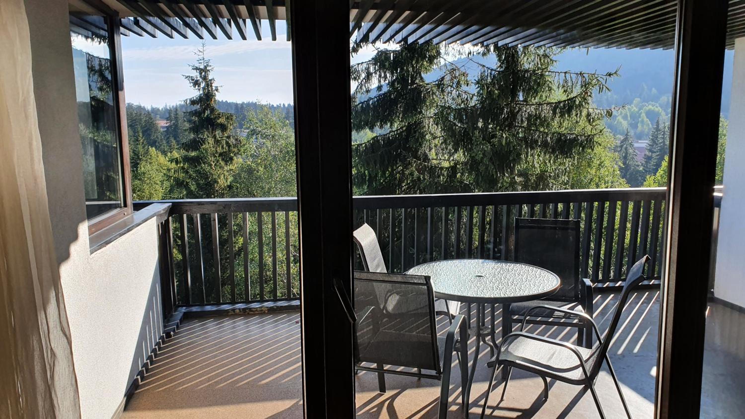 Apartment with Mountain View - Photo 44