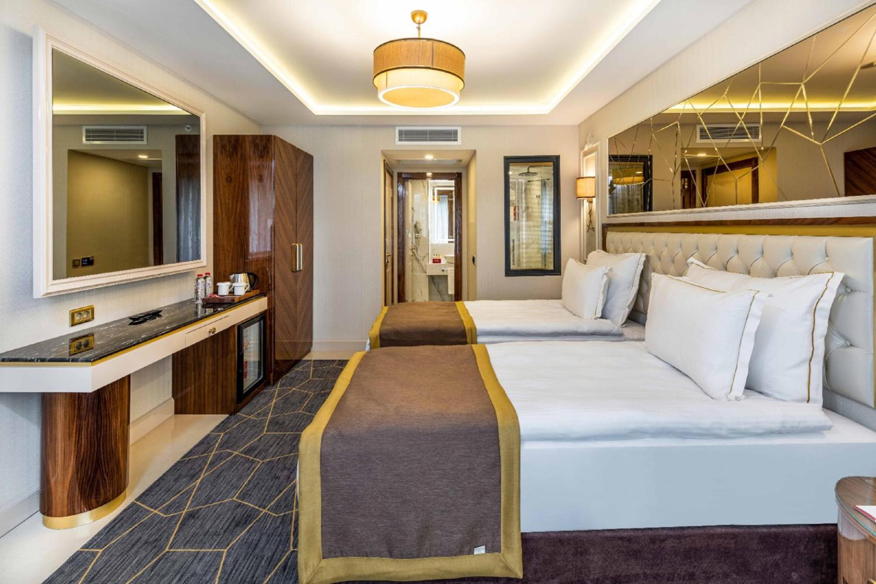 Deluxe Double or Twin Room photo 2