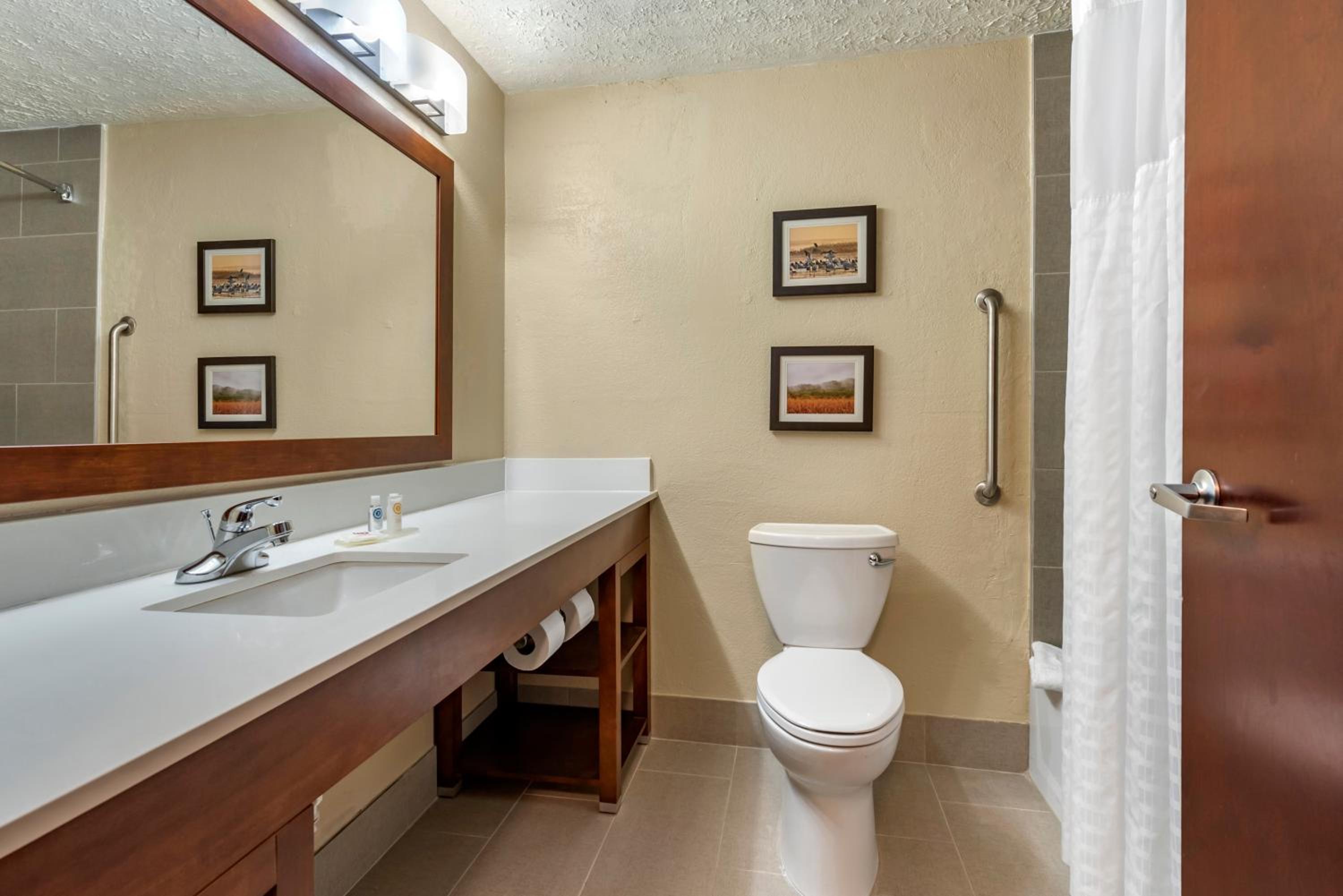 King Suite - Non-Smoking - Photo 3