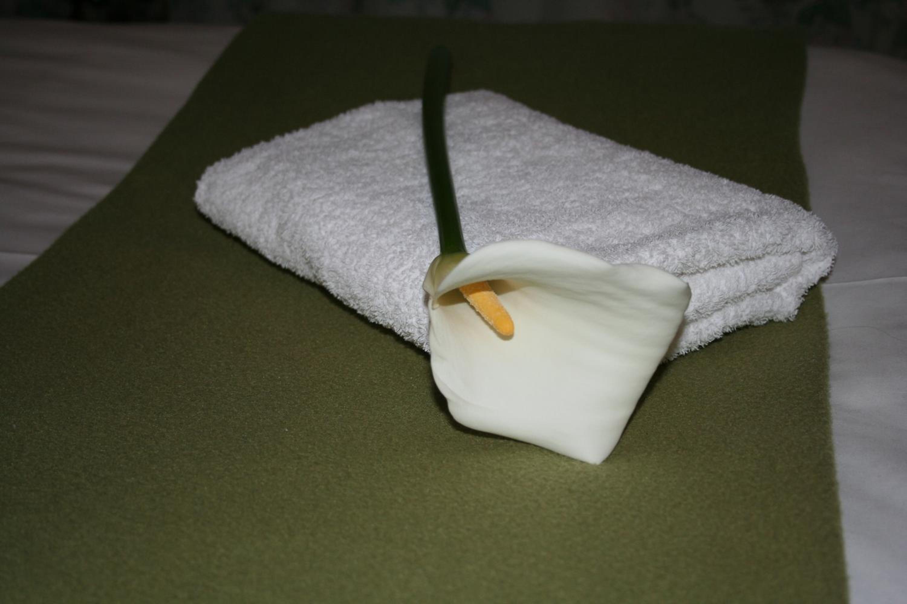 Single Room photo 1