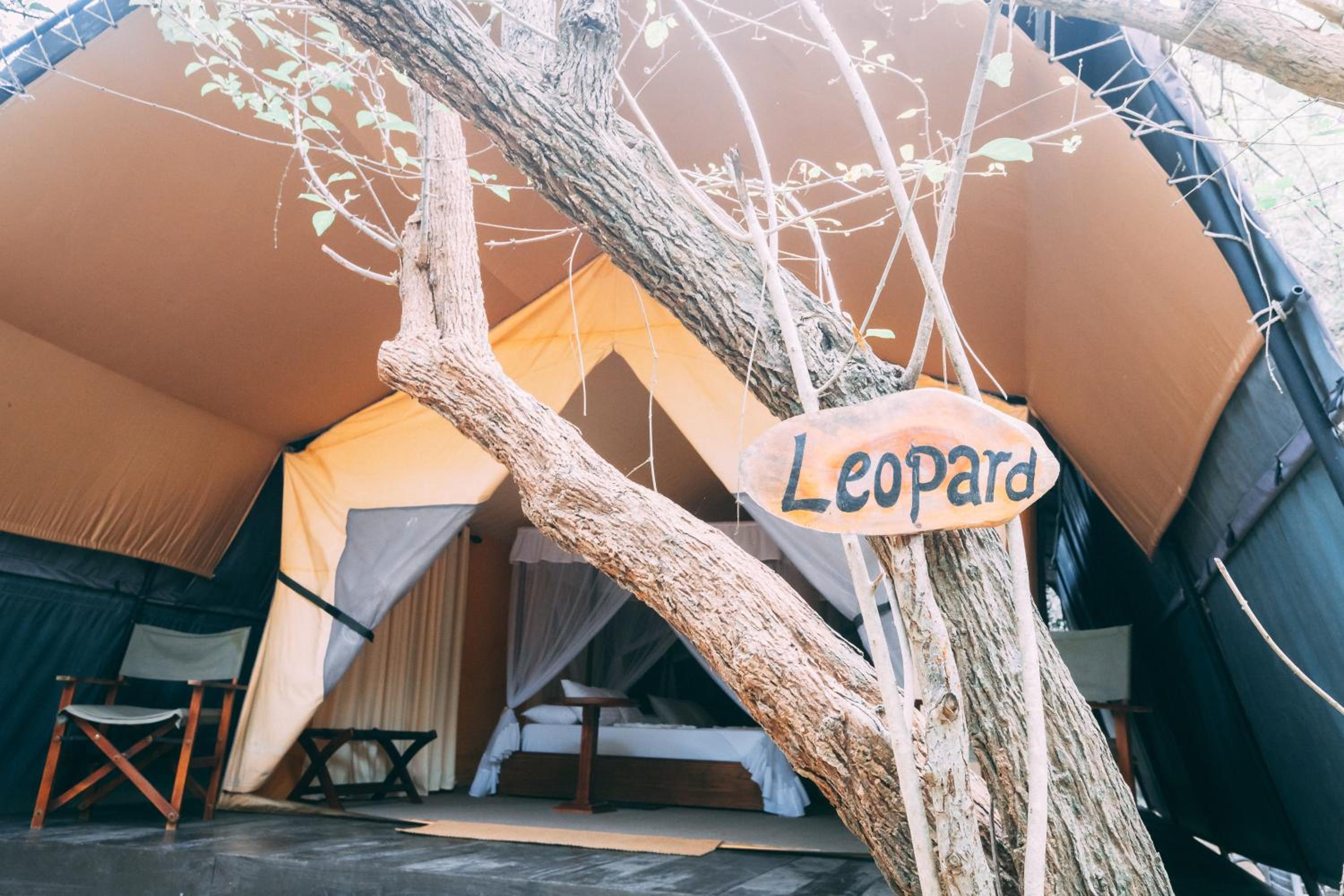 Deluxe Leopard Tent with Private Pool (10% off on Wildlife Safaris) photo 3