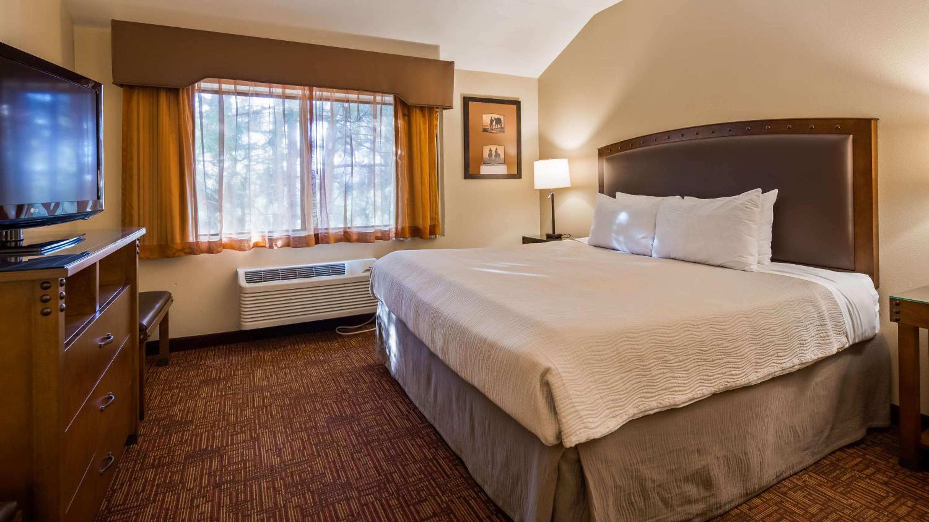 King Room with Roll-In Shower - Disability Access/Pet Friendly/Non-Smoking photo 3