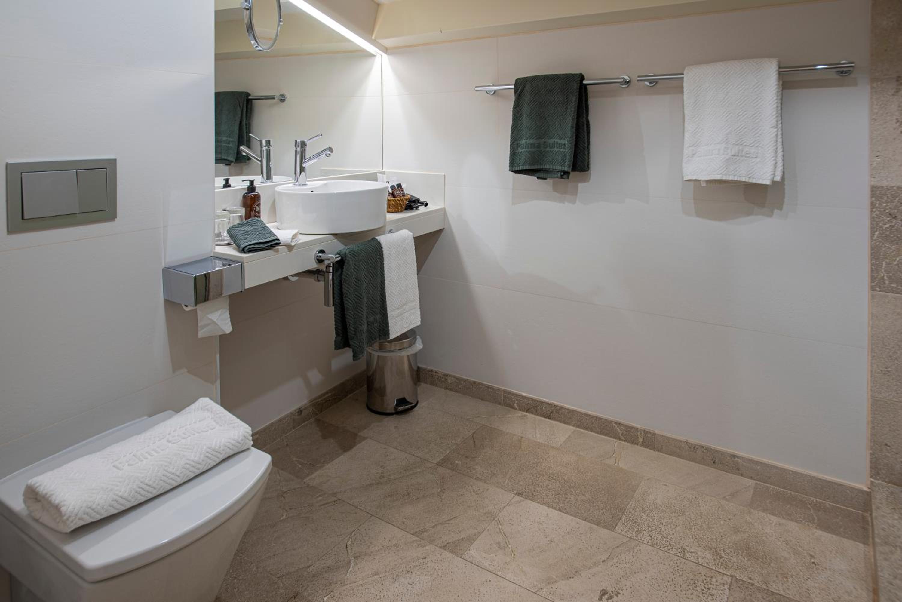 Premium Suite photo 2