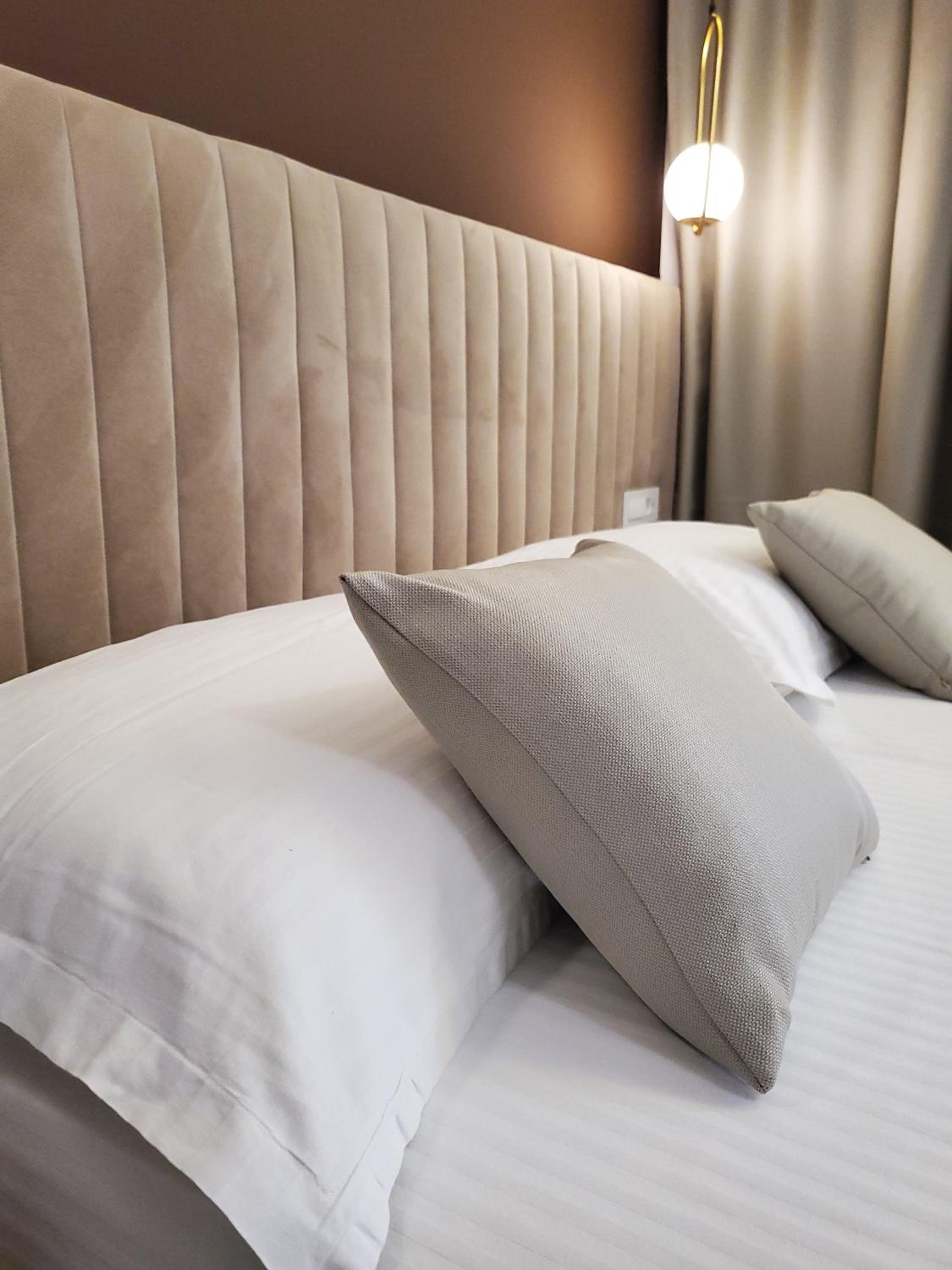 Deluxe Luxury Suite - Photo 11