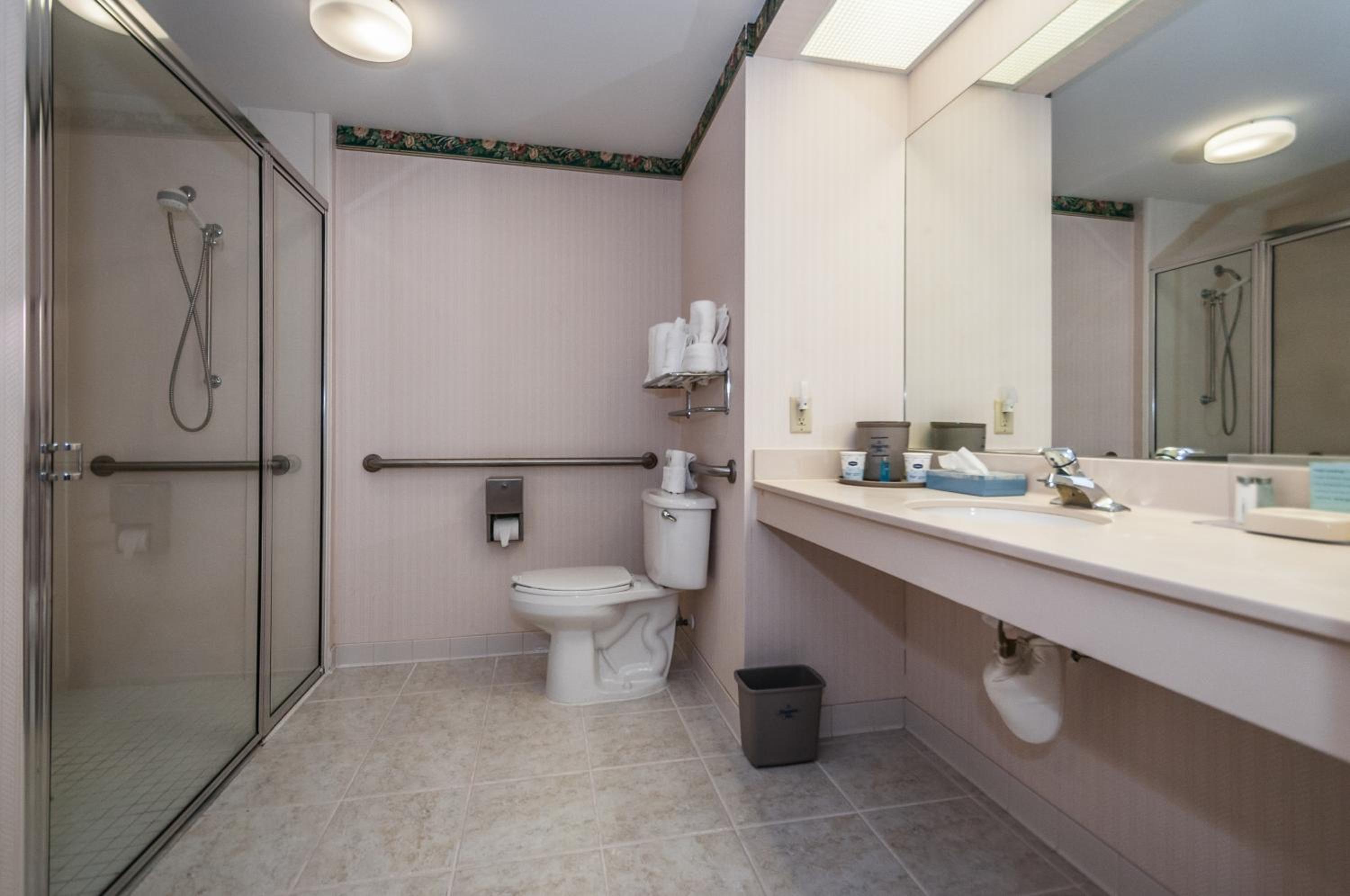 Standard King Room with Roll-In Shower - Communications Access - Photo 2