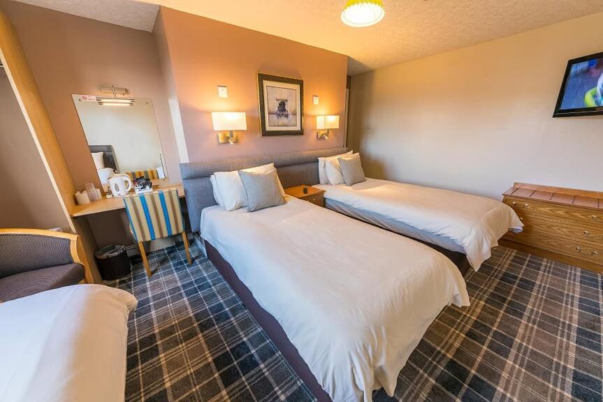 Superior Double or Twin Room - Photo 3