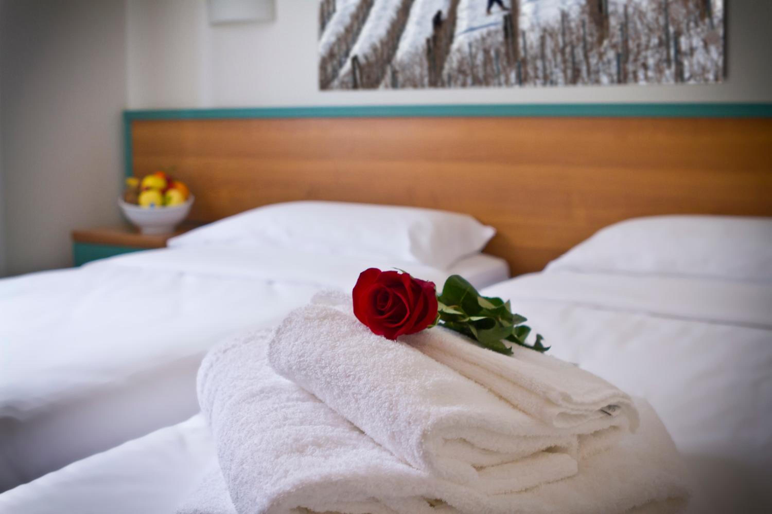 Standard Twin Room - Photo 2