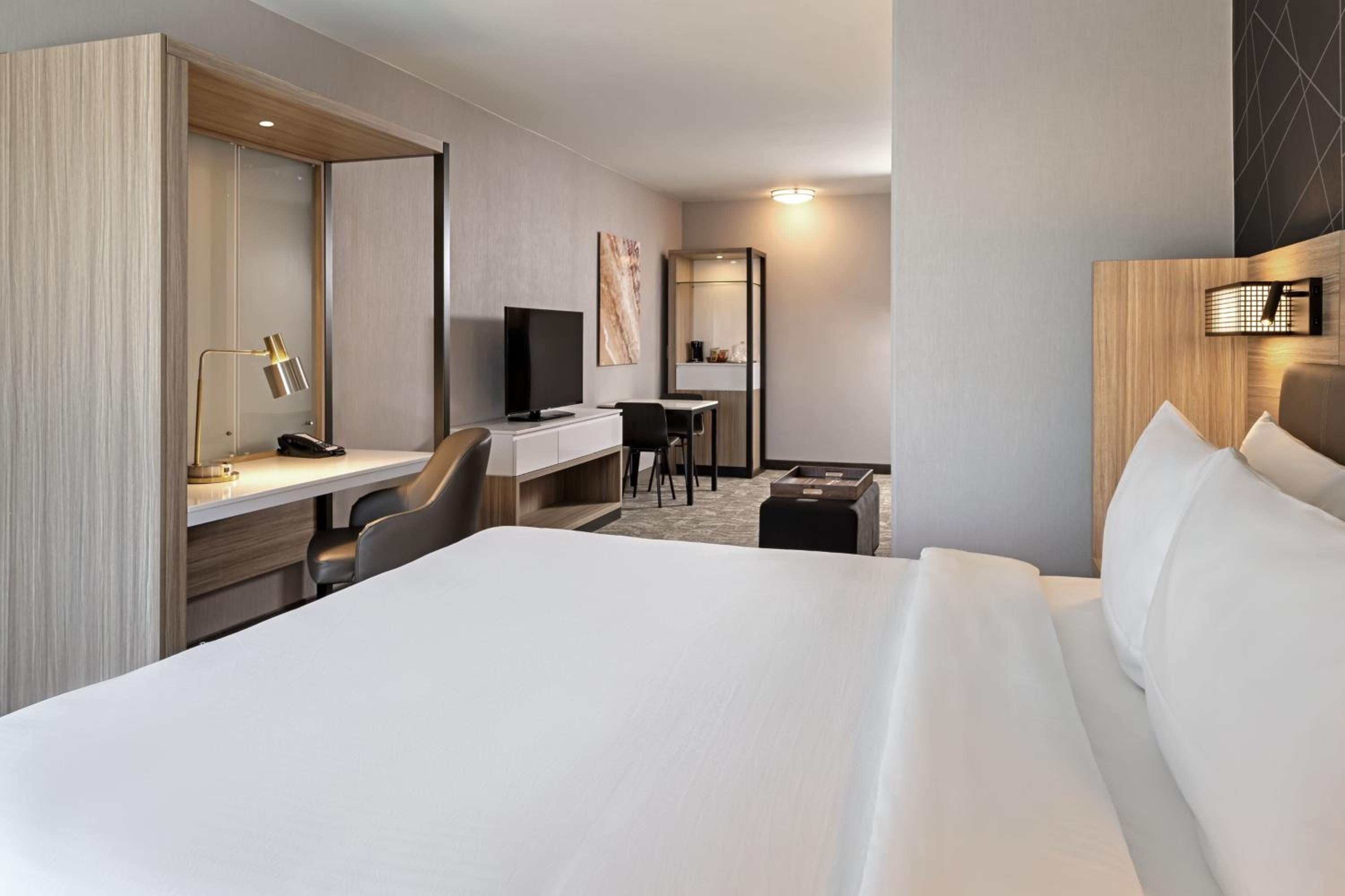 Larger King Suite with Sofa Bed