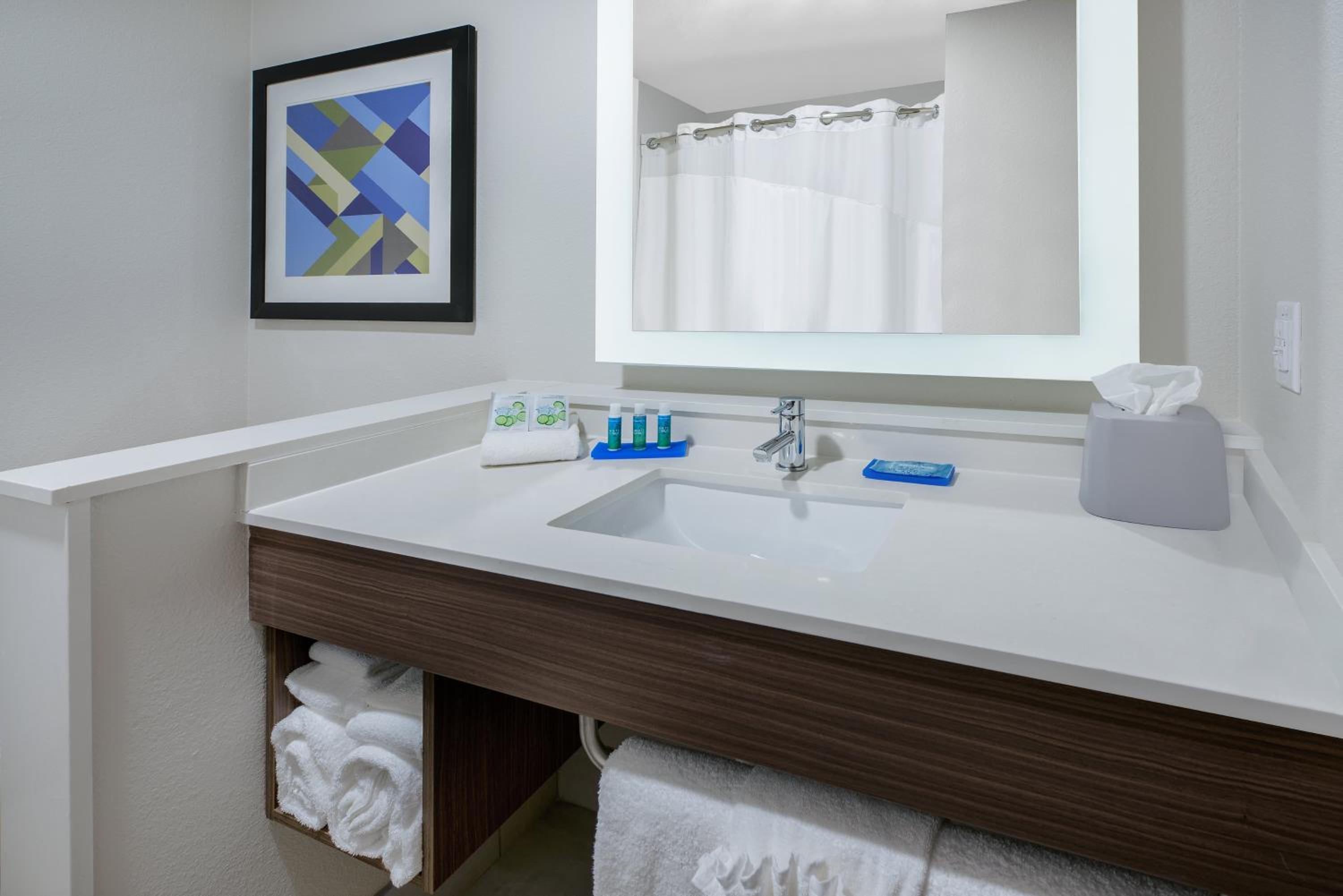 One-Bedroom Suite with Sofa Bed photo 2
