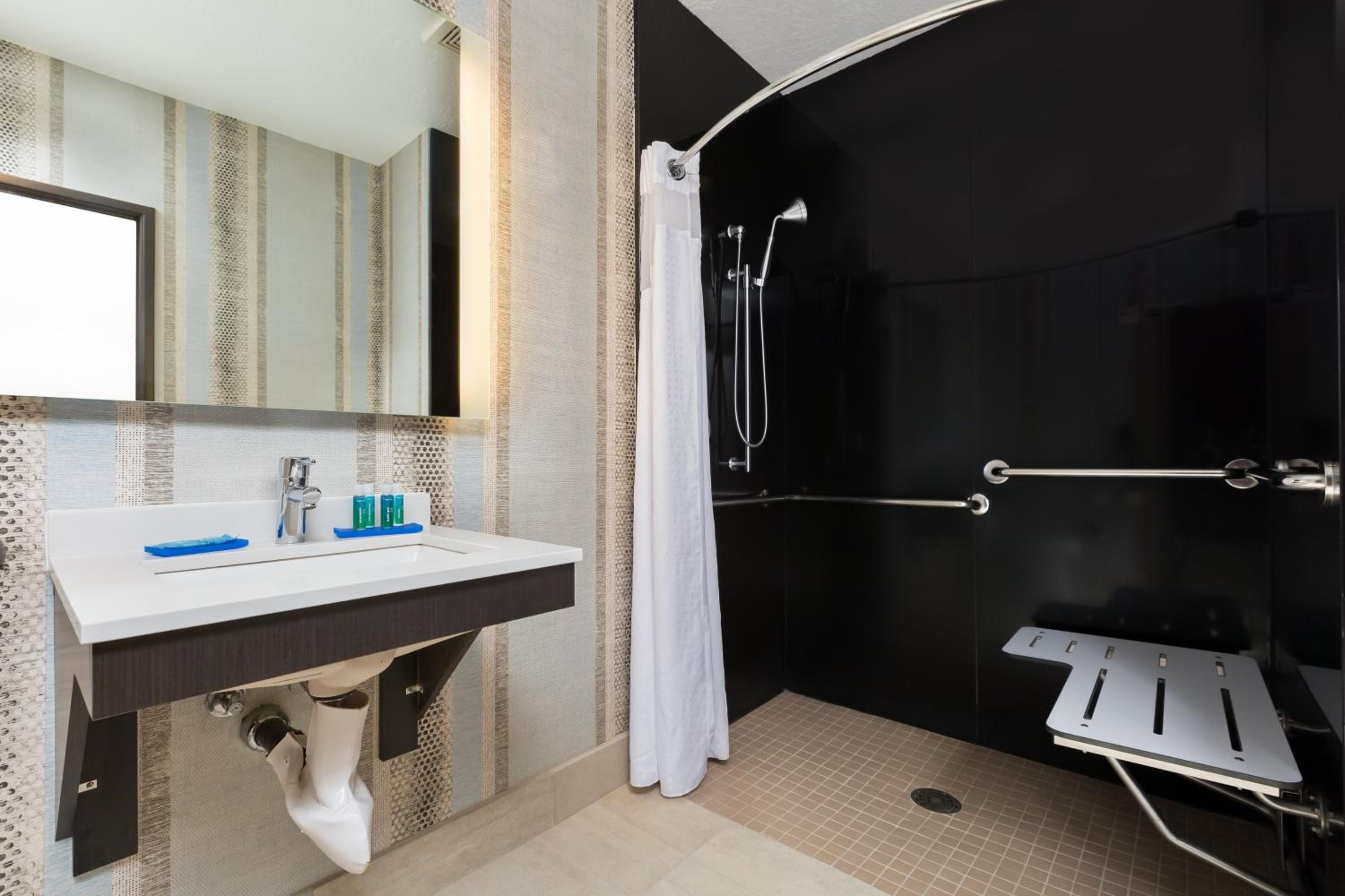 Suite - Disability Access Roll in Shower/Non-Smoking - Photo 2
