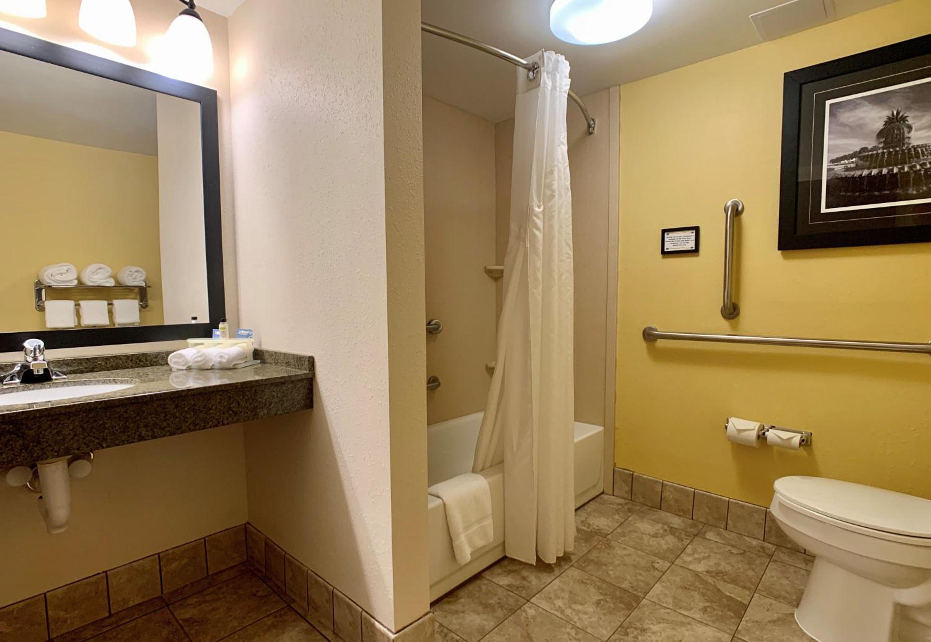 King Suite - Communications and Mobility Accessible Tub - Photo 2