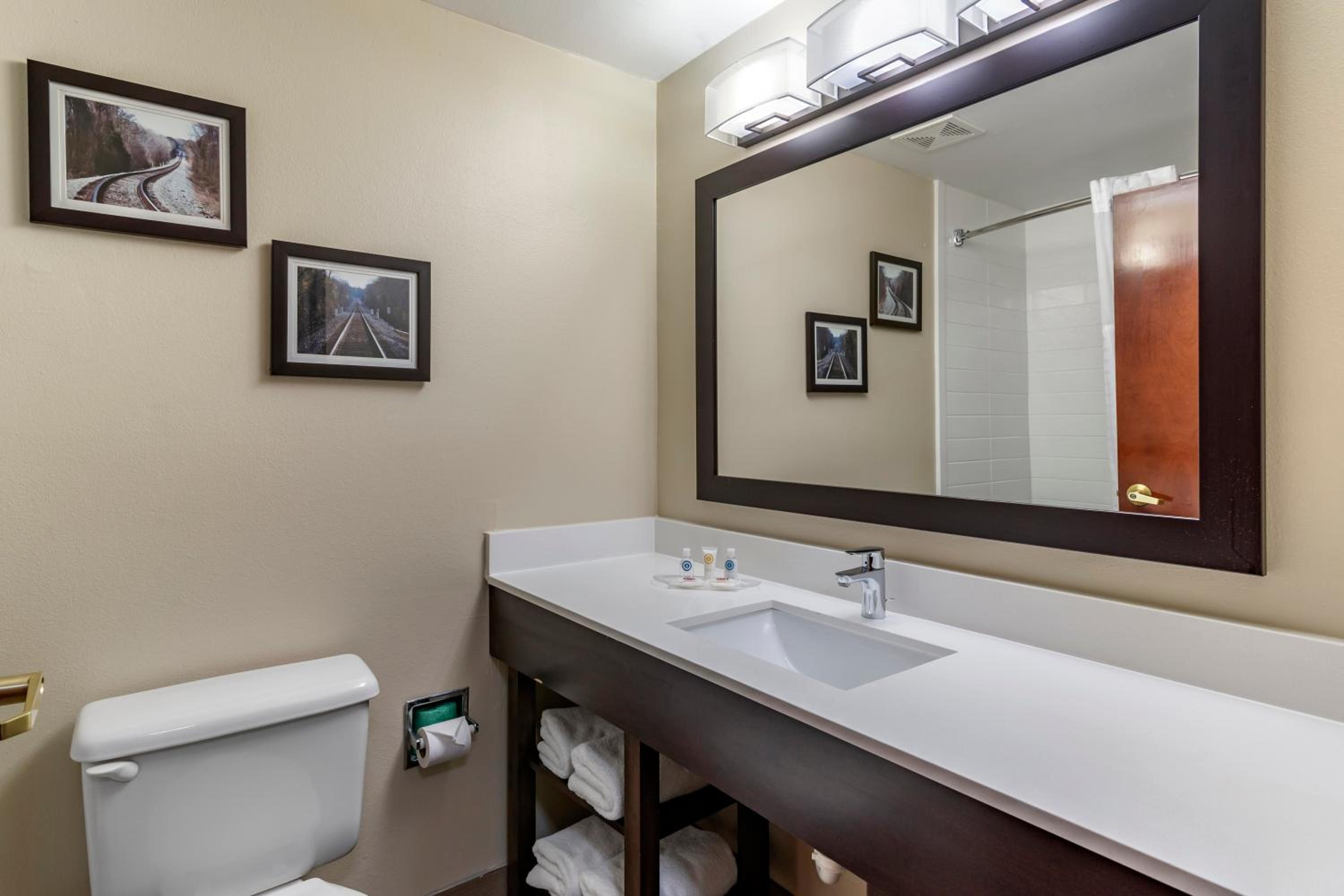 King Suite - Photo 8
