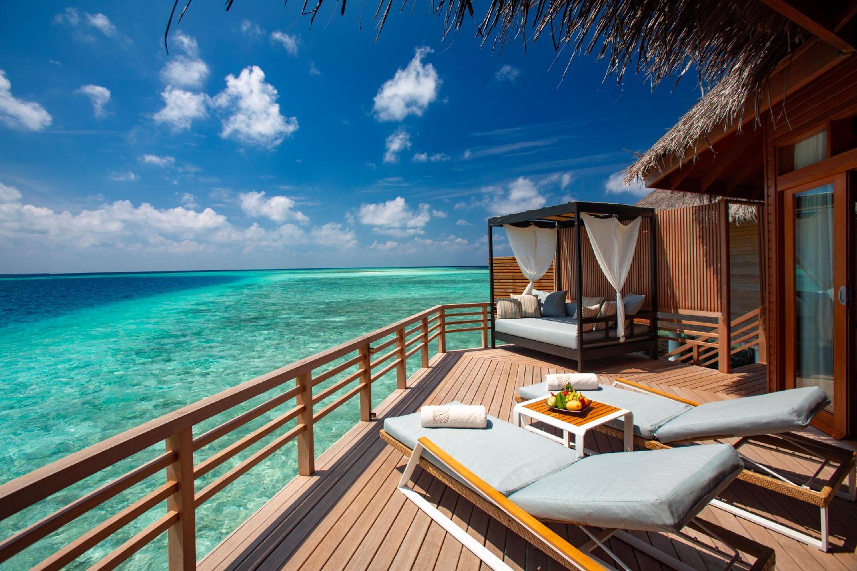 Balcony & Terrace