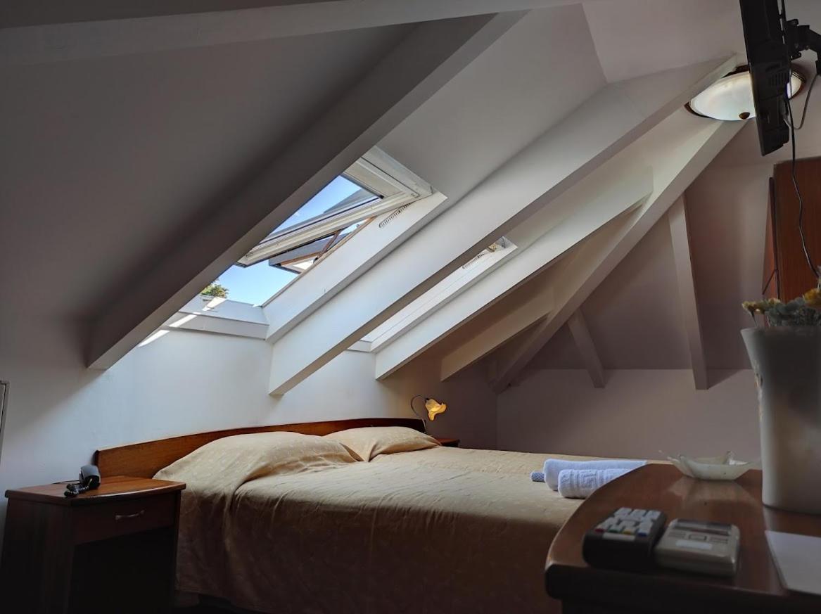 Single Room with Park View photo 3