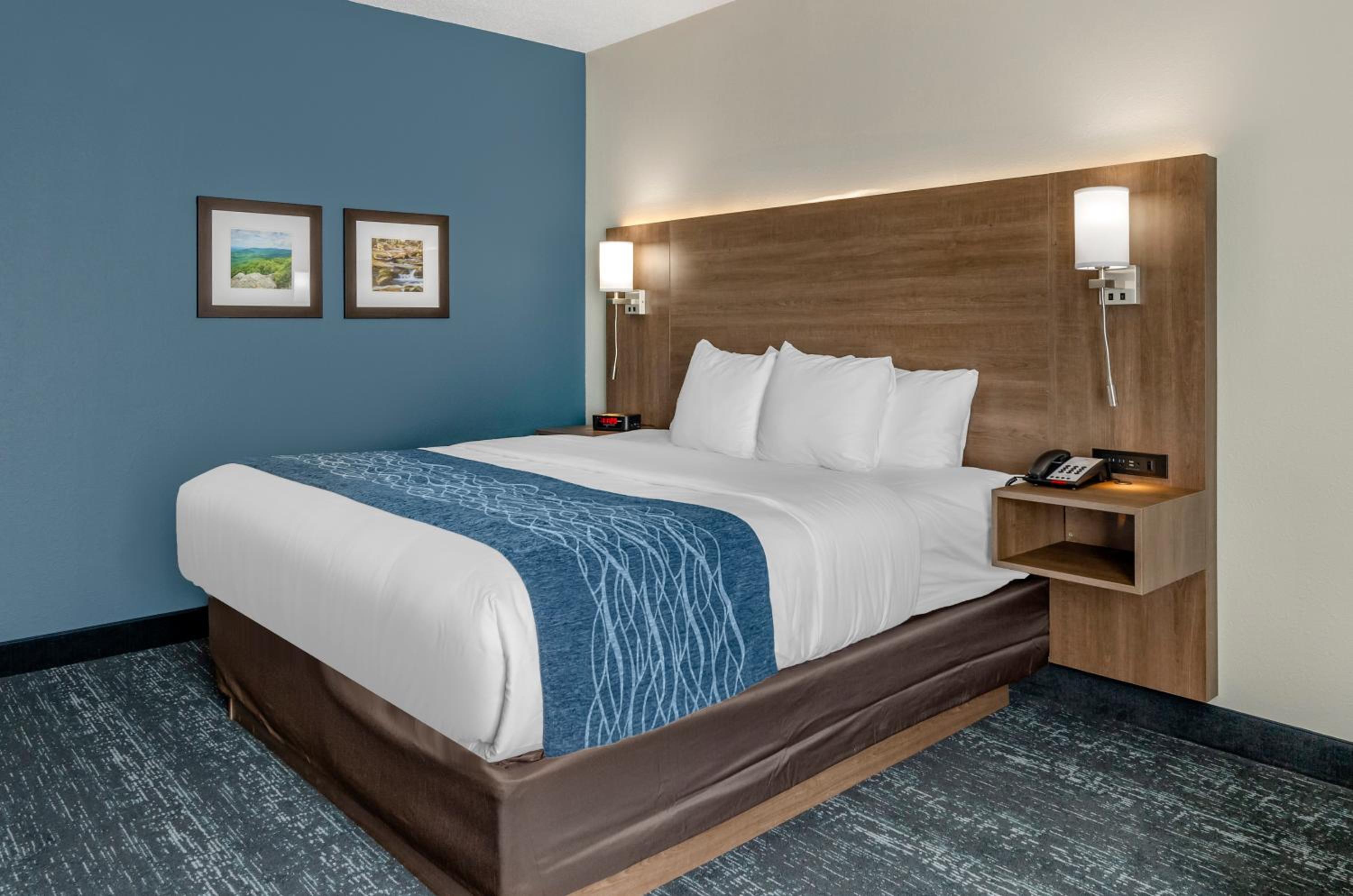 Queen Room with Two Queen Beds - Non Smoking/Pet Friendly - Photo 2