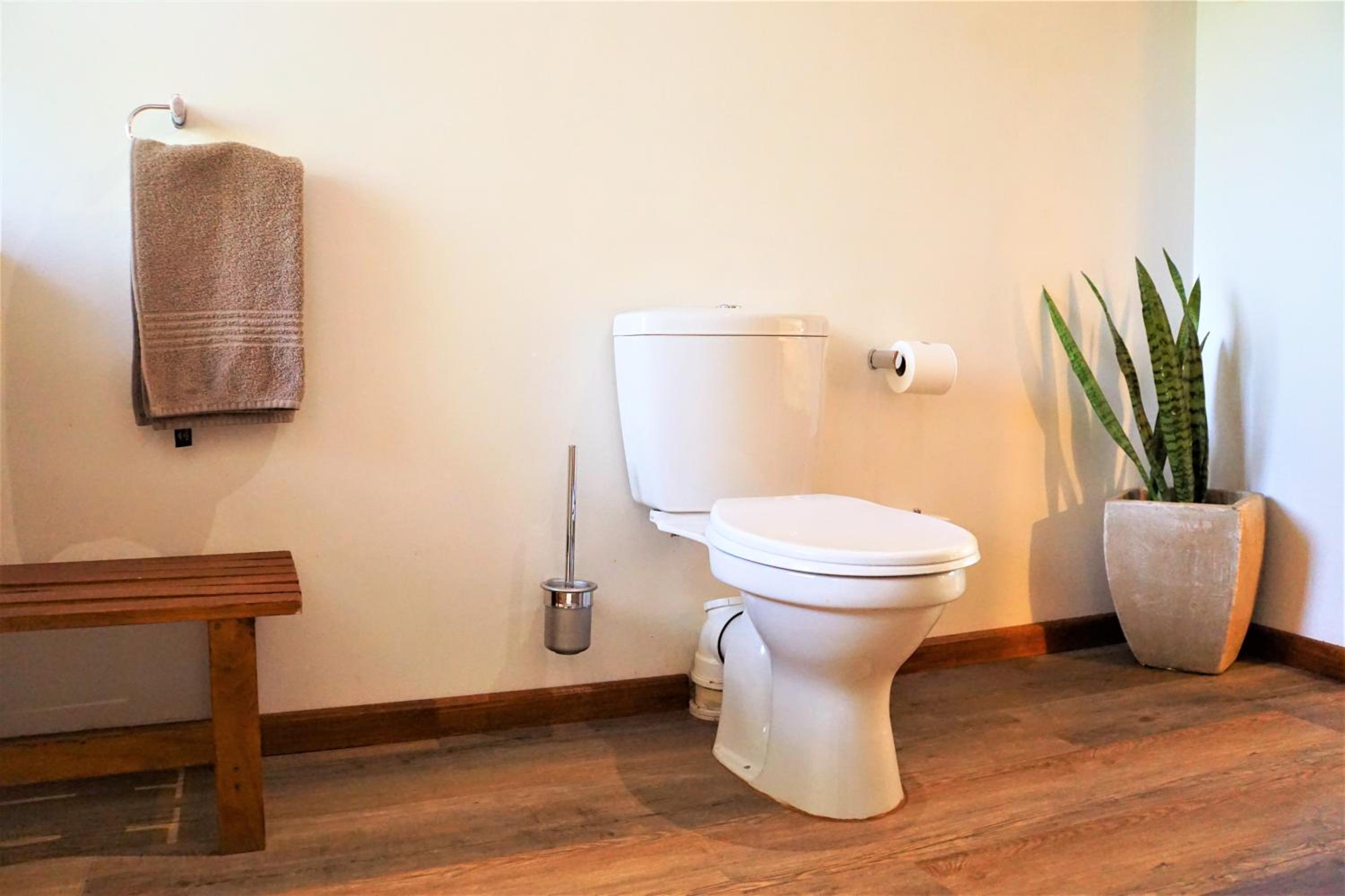 Garden Room with shower (King or Twin) photo 2