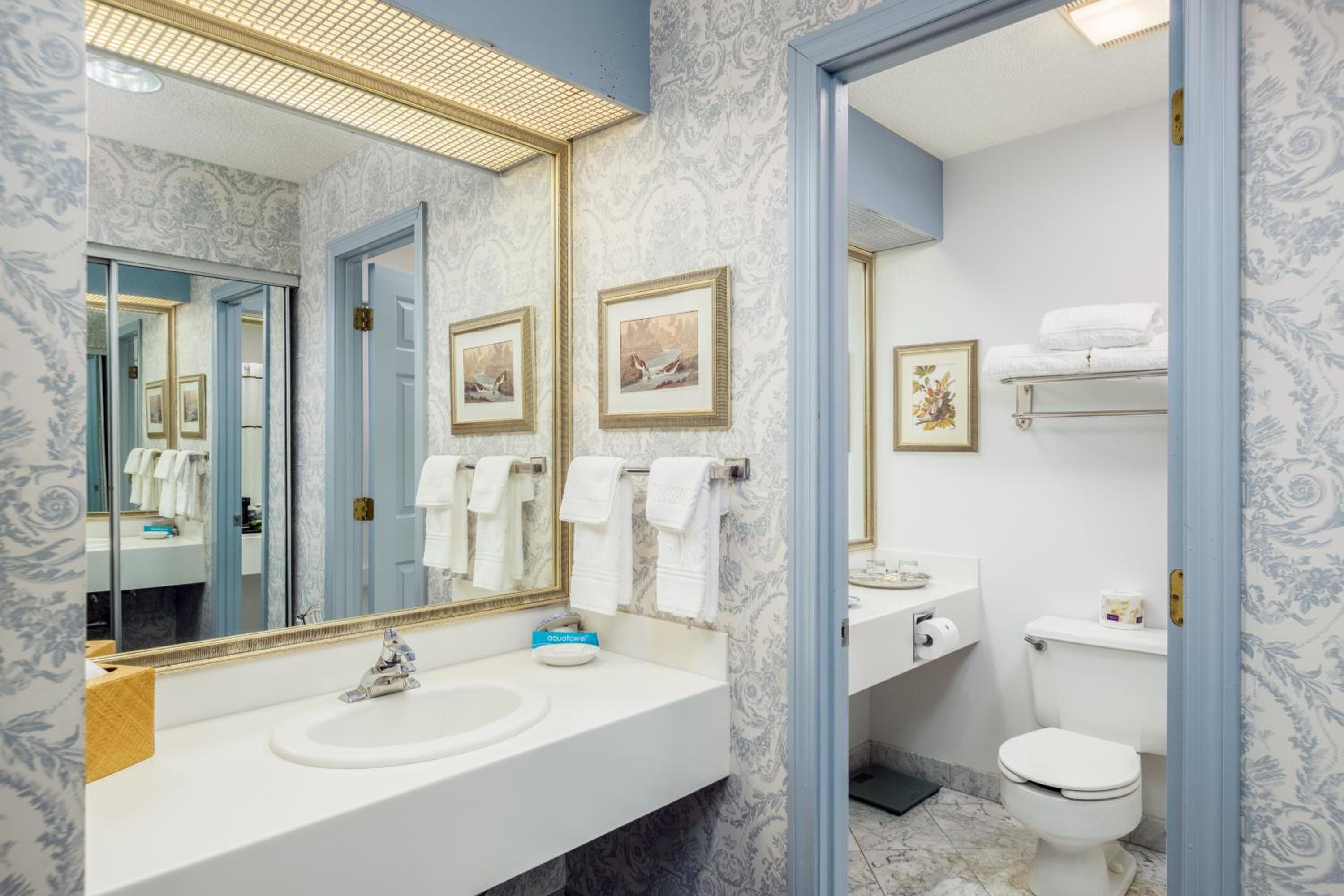 Deluxe Queen Room - Photo 4