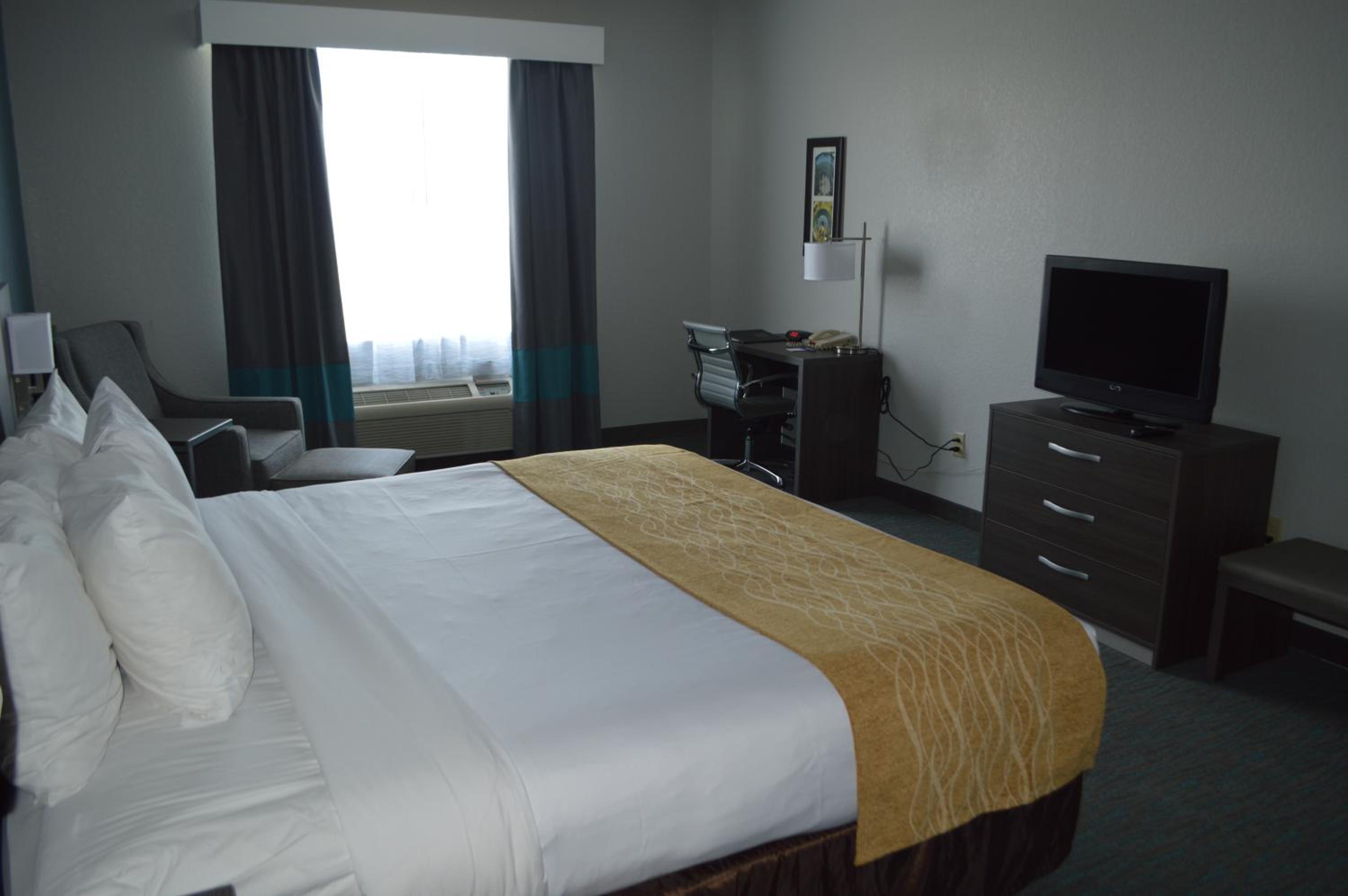 King Room With Roll-In Shower - Accessible/Non-Smoking - Photo 1