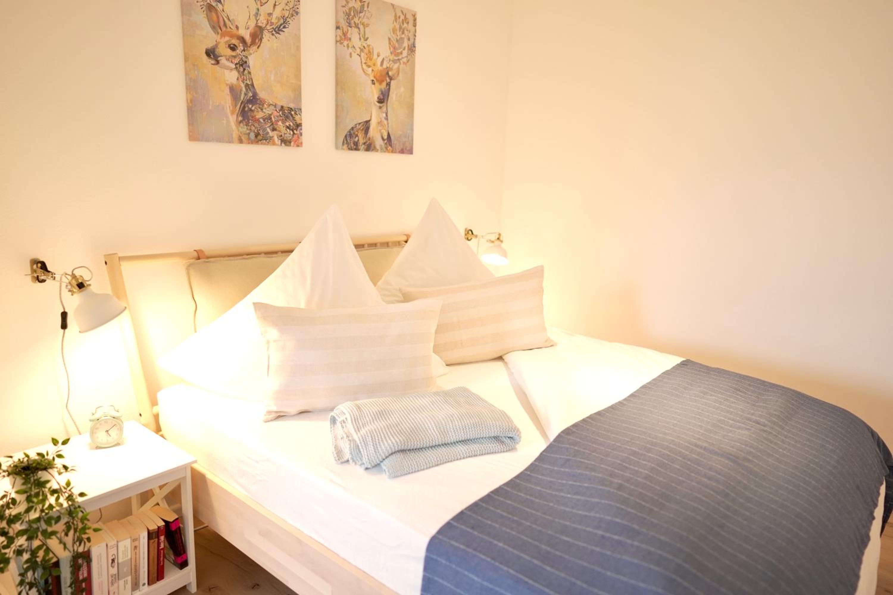 One-Bedroom Apartment - Photo 8